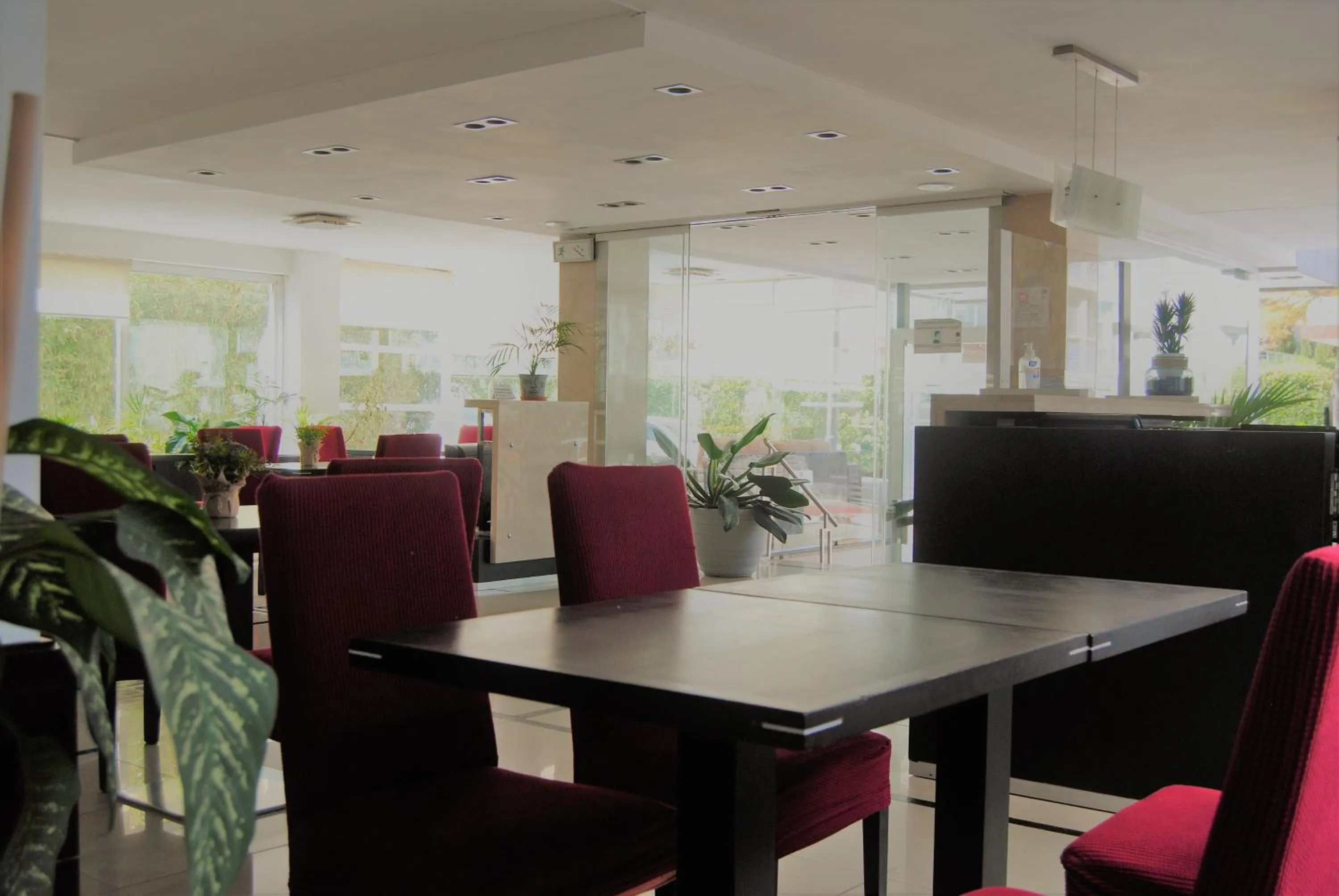 Restaurant/places to eat in Hotel Castilla