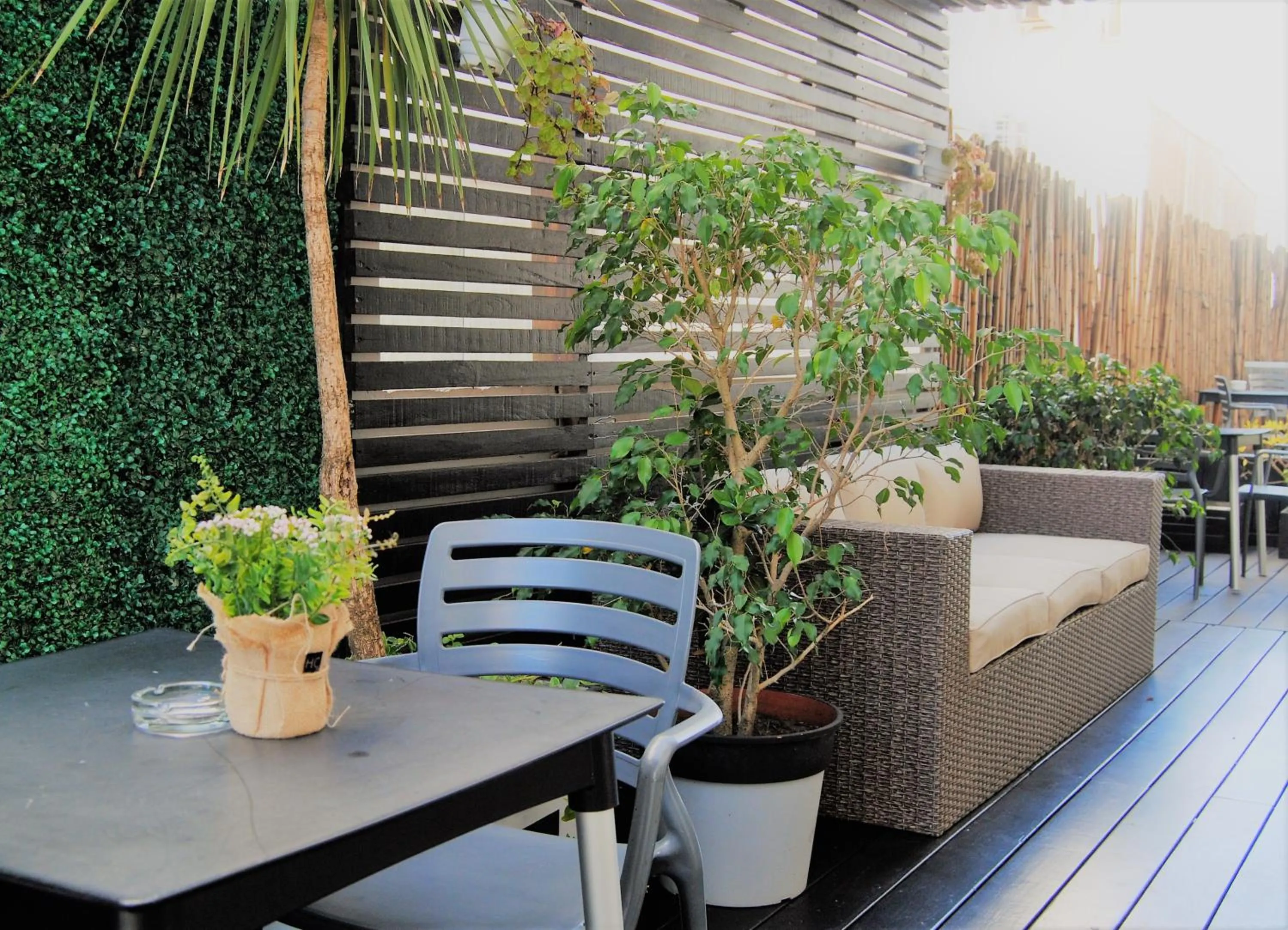 Property building in Hotel Castilla