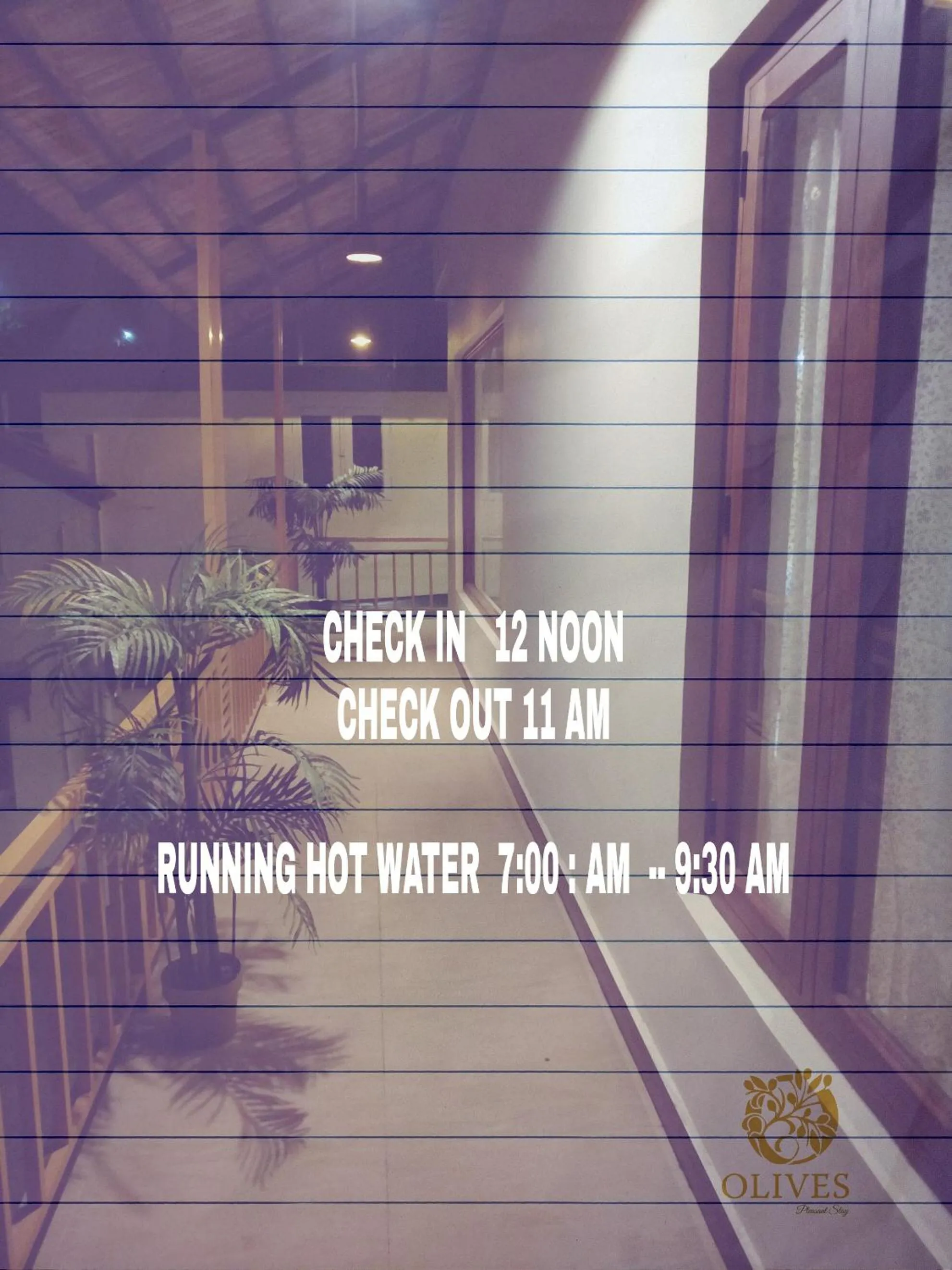 Olives Pleasant Stays