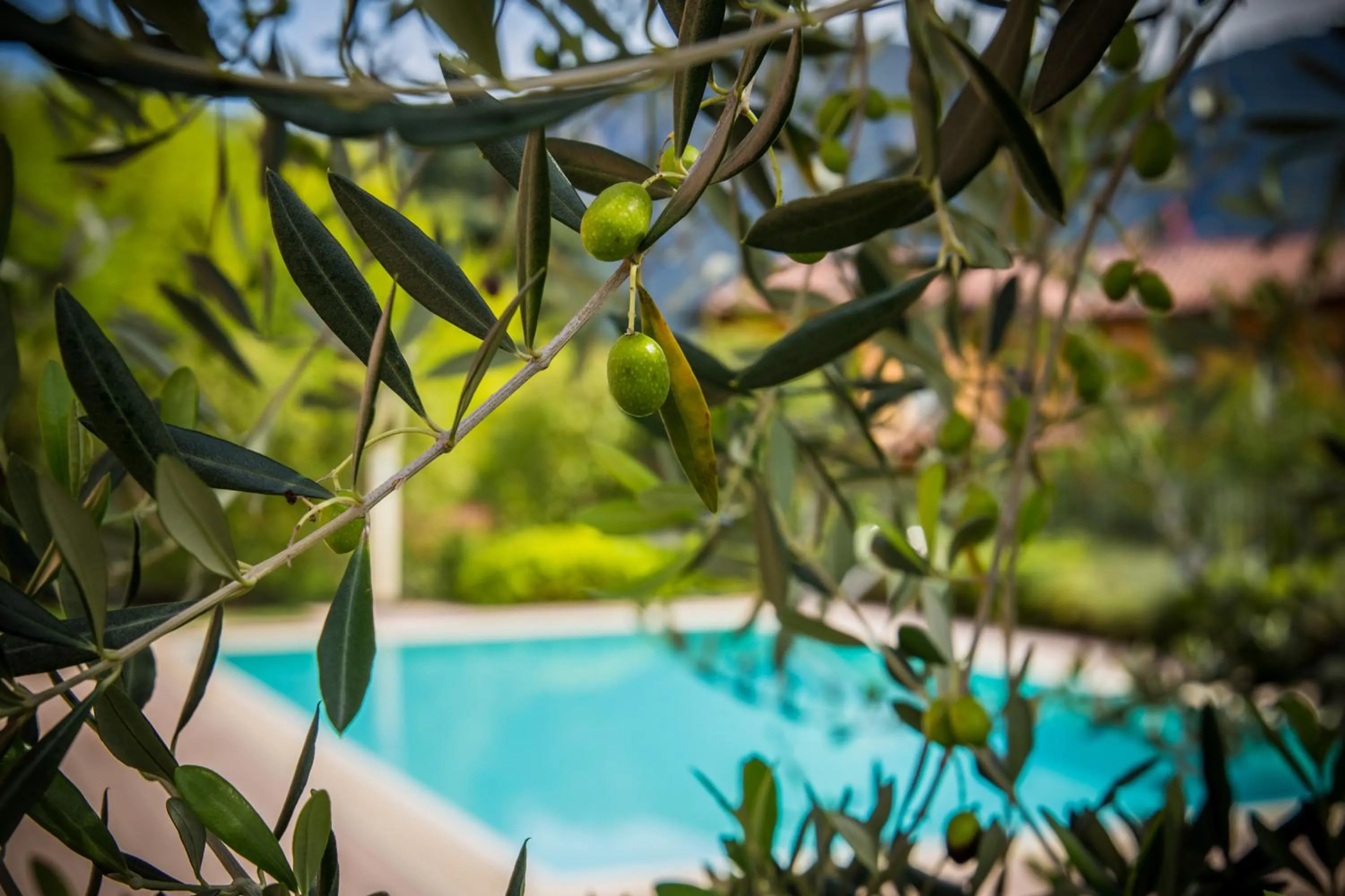 Maison Casa Lavanda