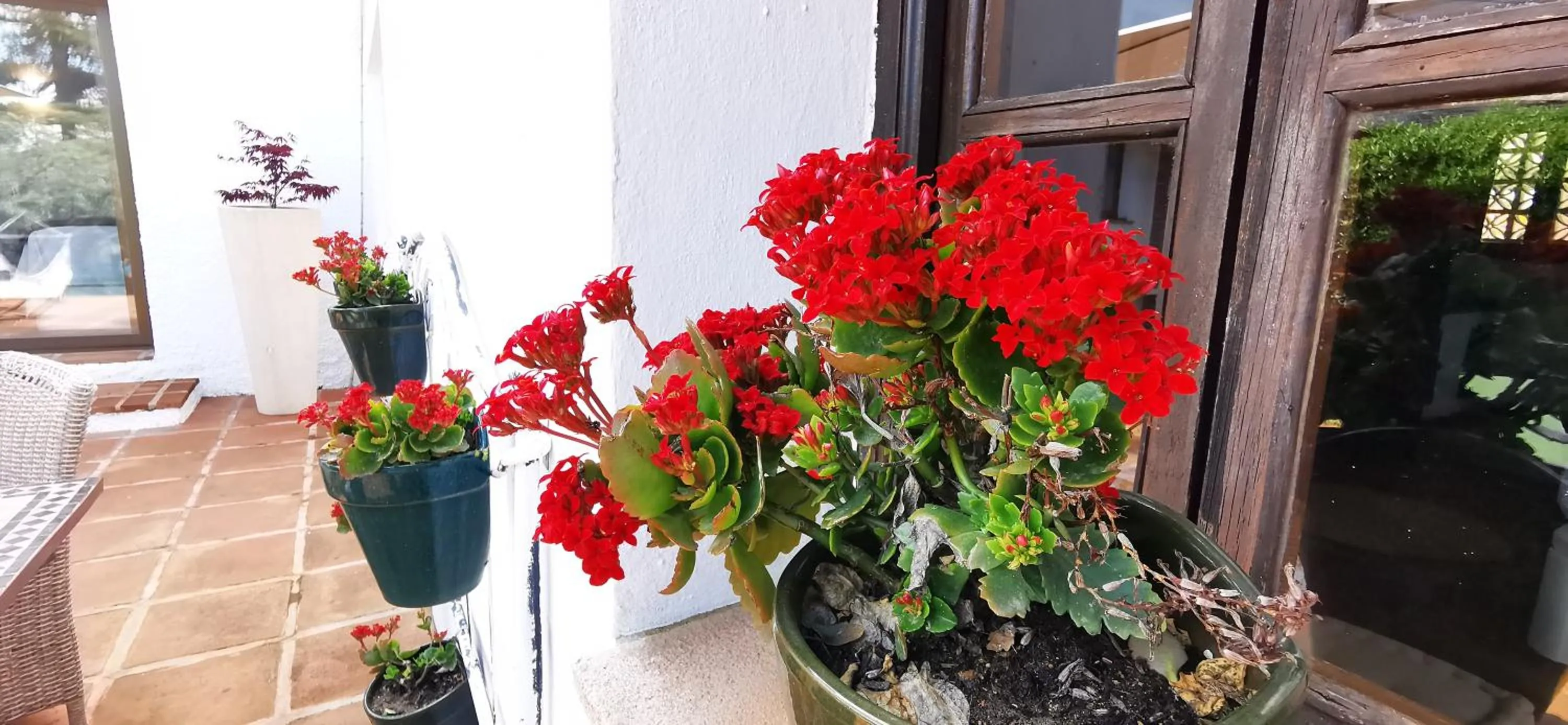 Roca Verde, Boutique Bed & Breakfast - Adults only