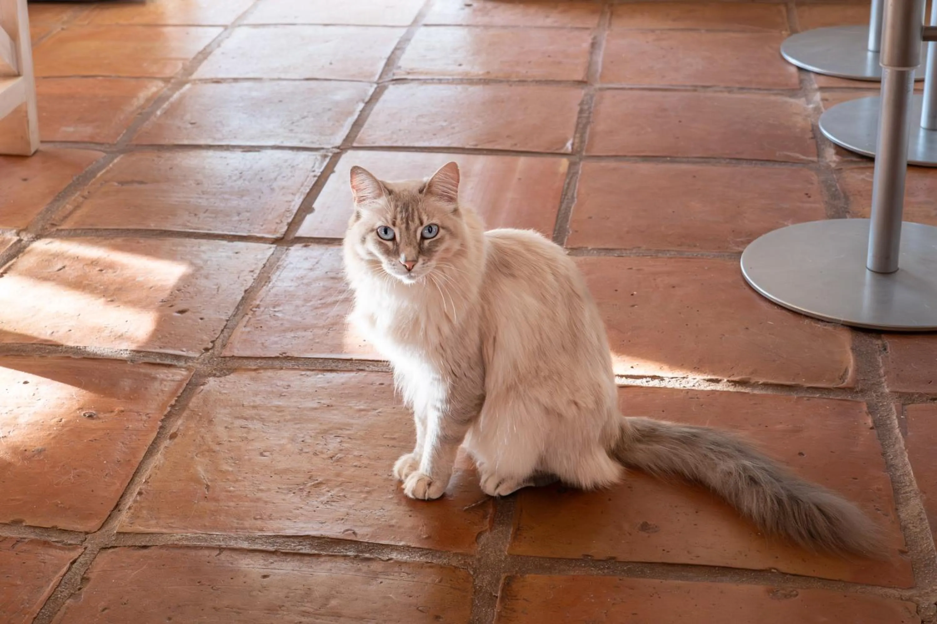 Roca Verde, Boutique Bed & Breakfast - Adults only