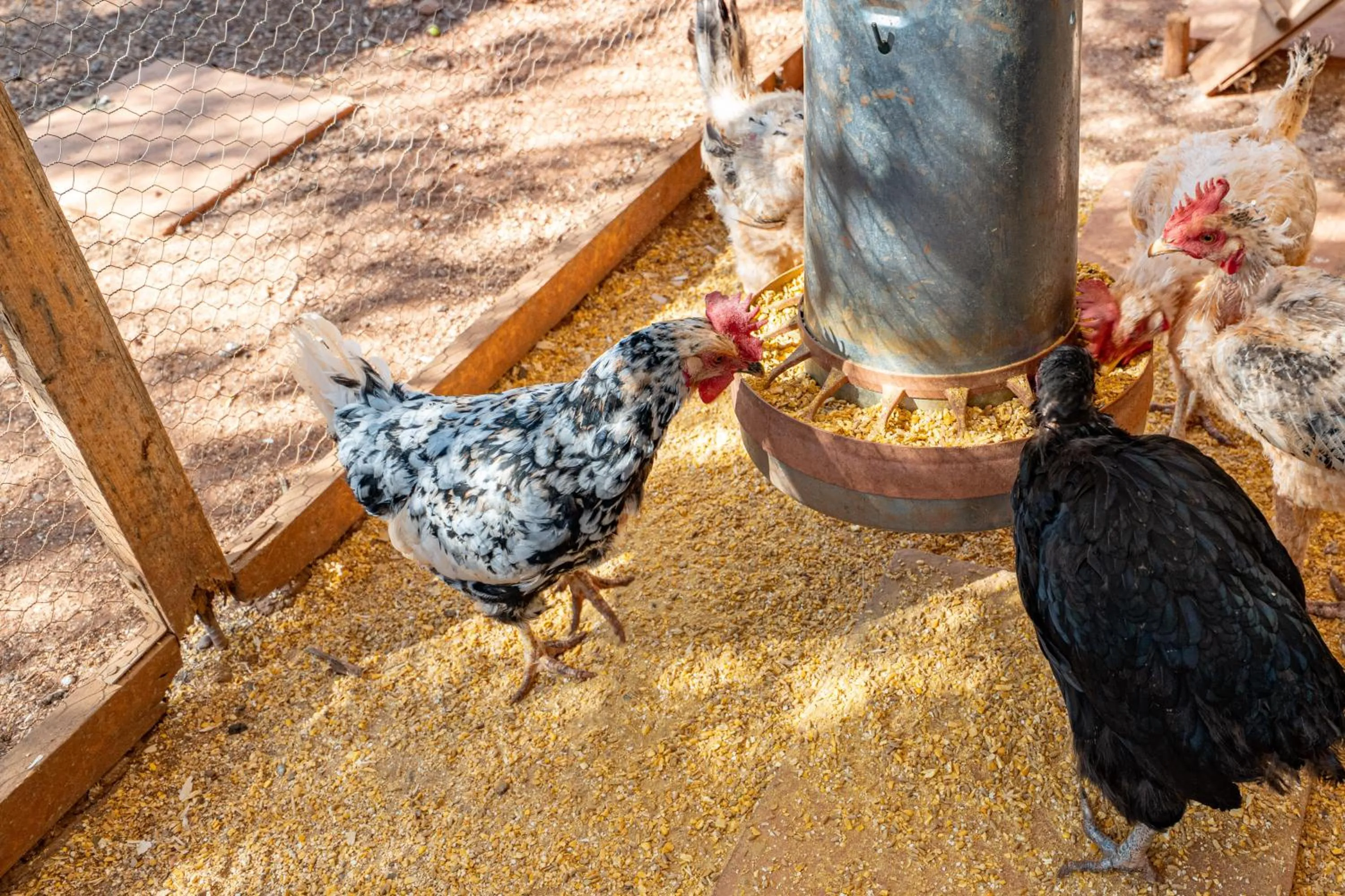 Roca Verde, Boutique Bed & Breakfast - Adults only