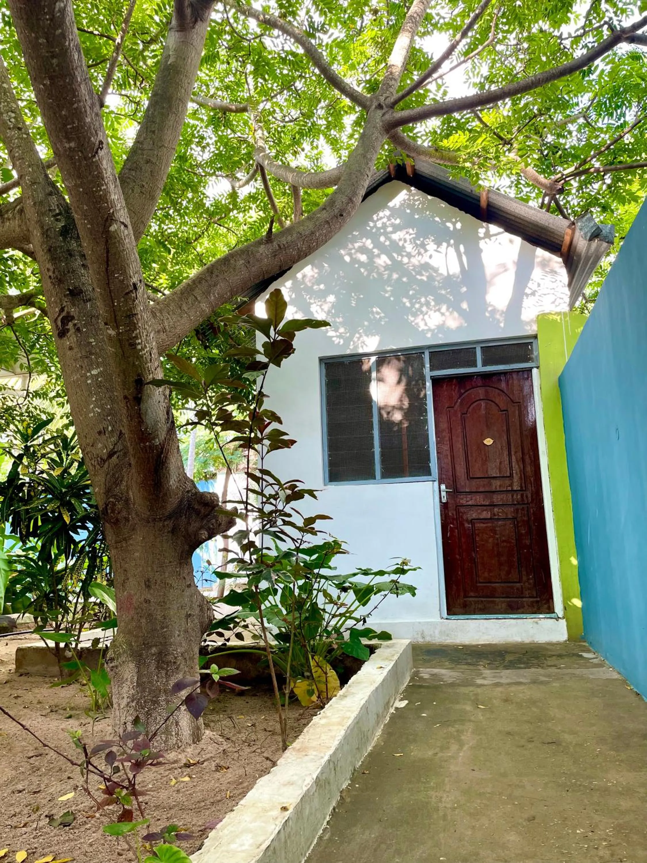 Property building in Green's Hostel Nungwi