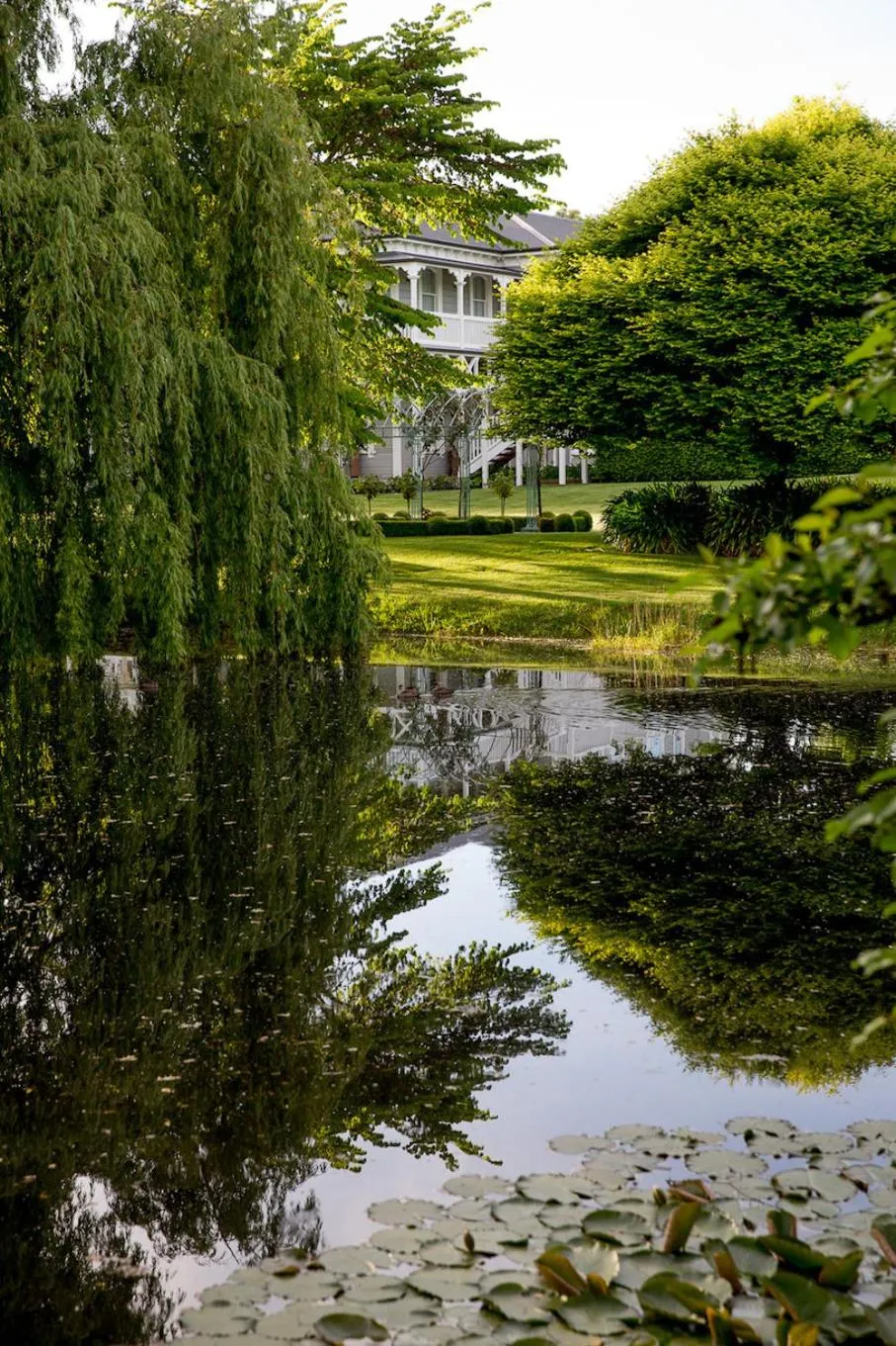 Natural landscape in The Marlborough