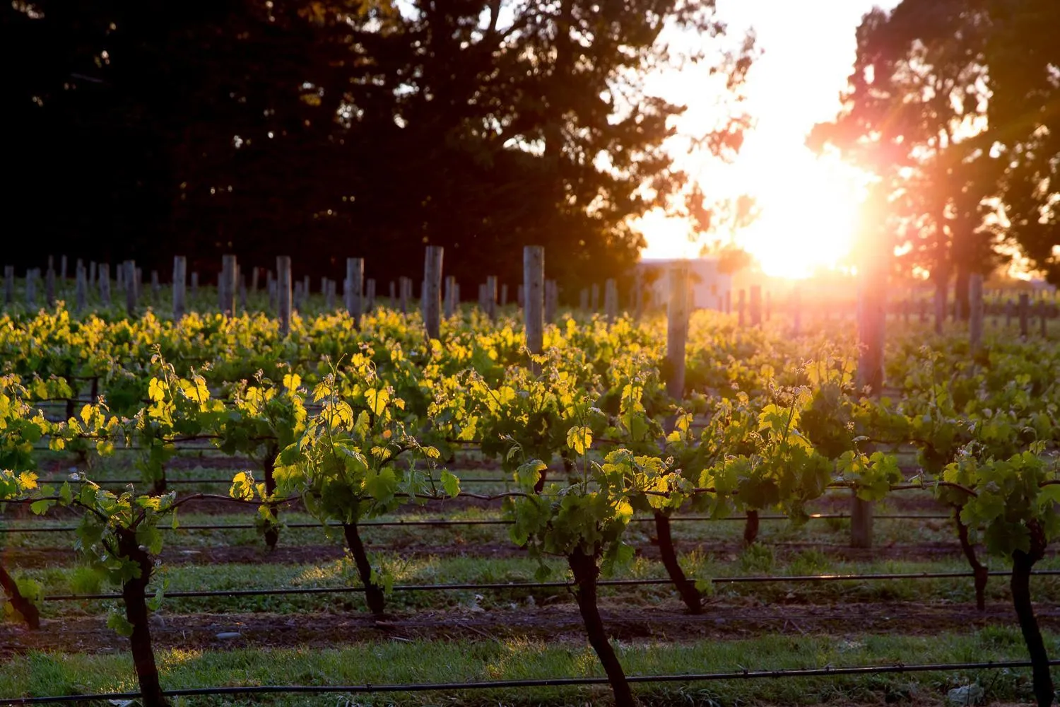 Area and facilities in The Marlborough