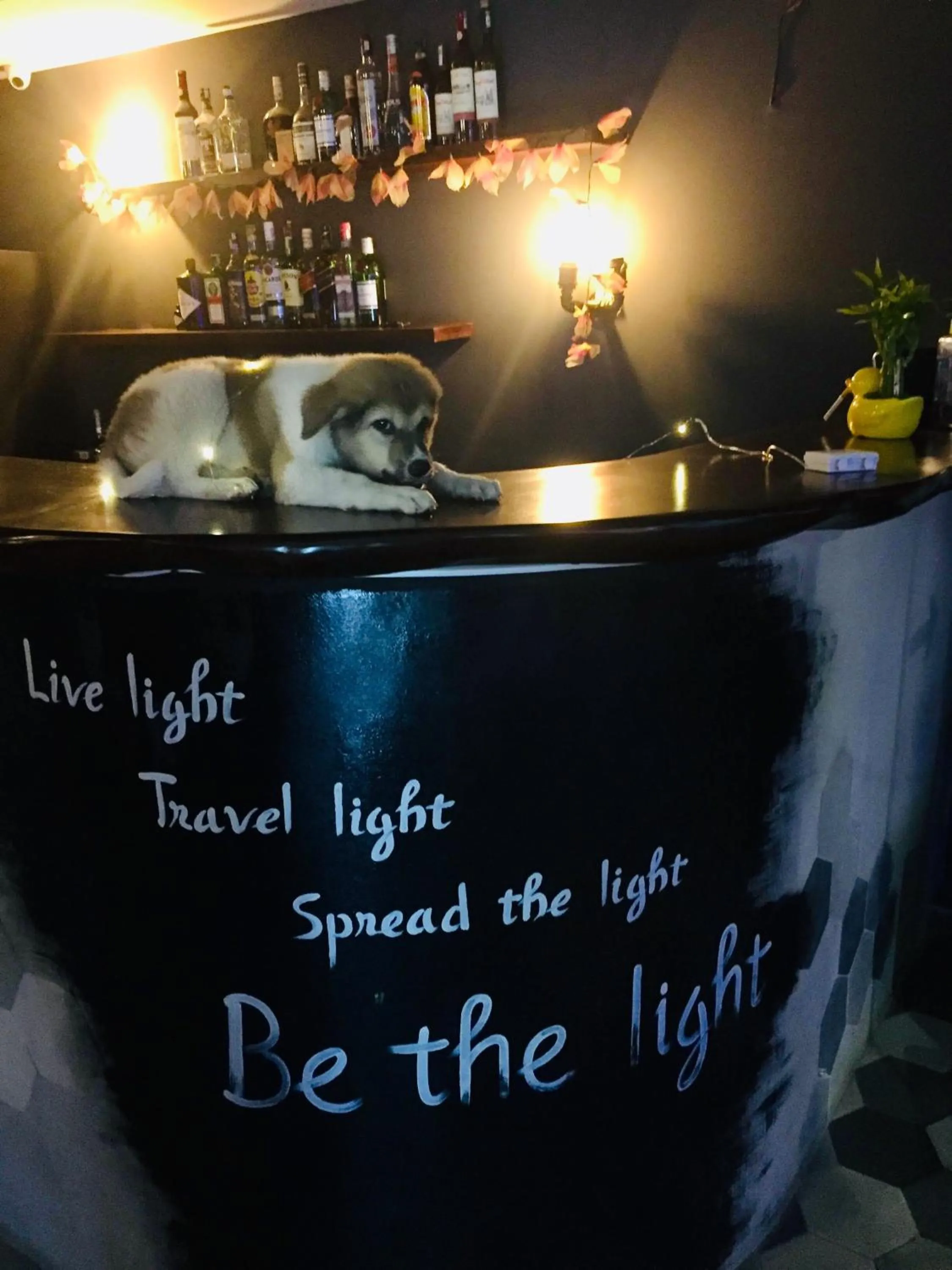 Lounge or bar in Light House Hostel