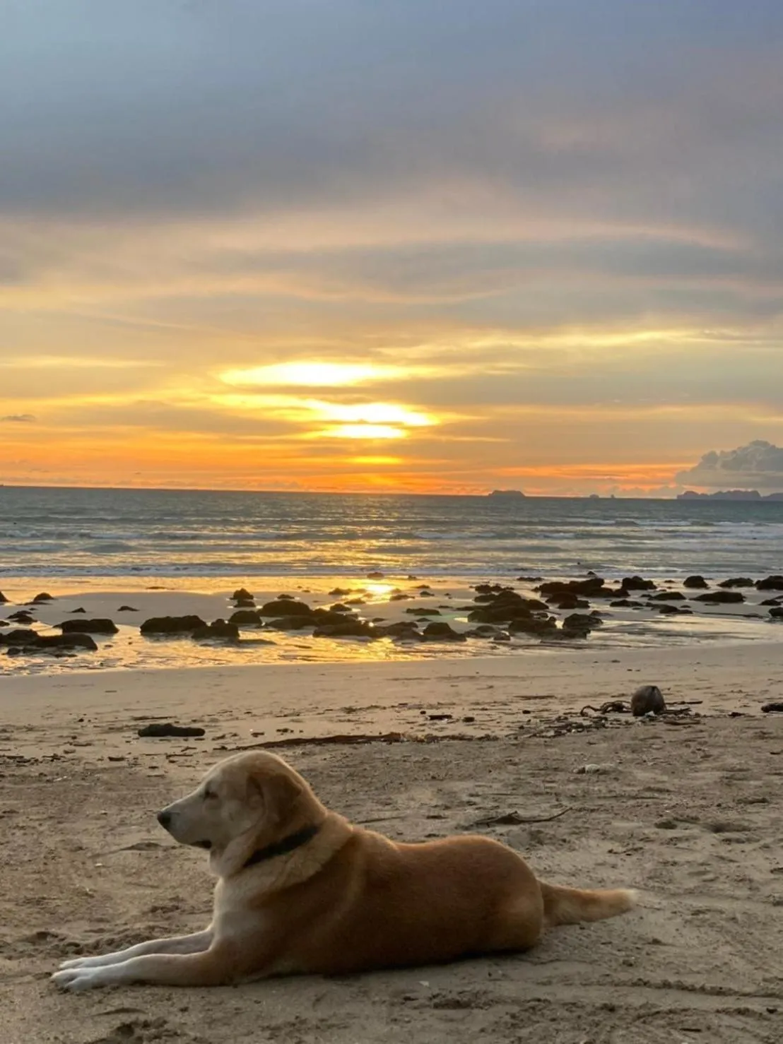 Lanta Just Come Hotel