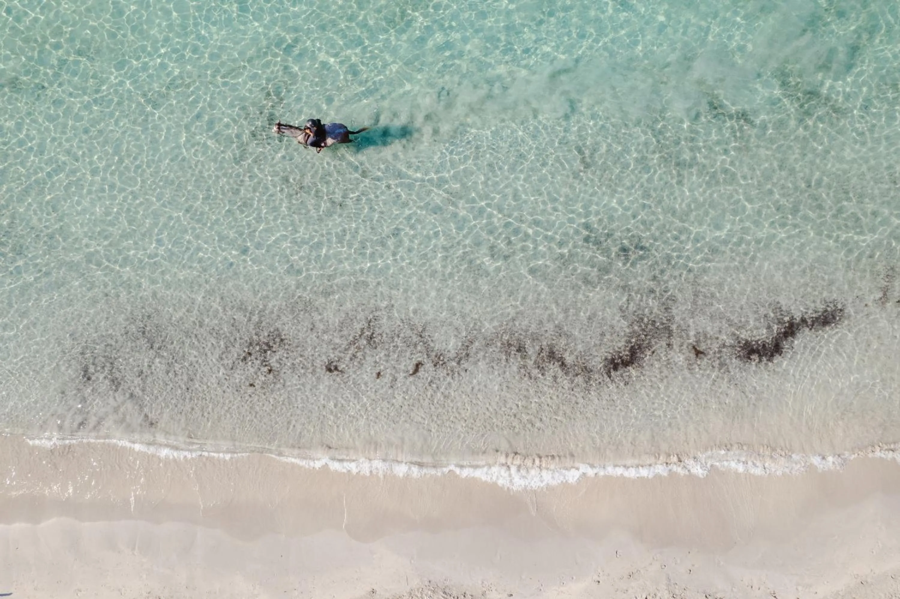 Ranch Campo Palombaggia