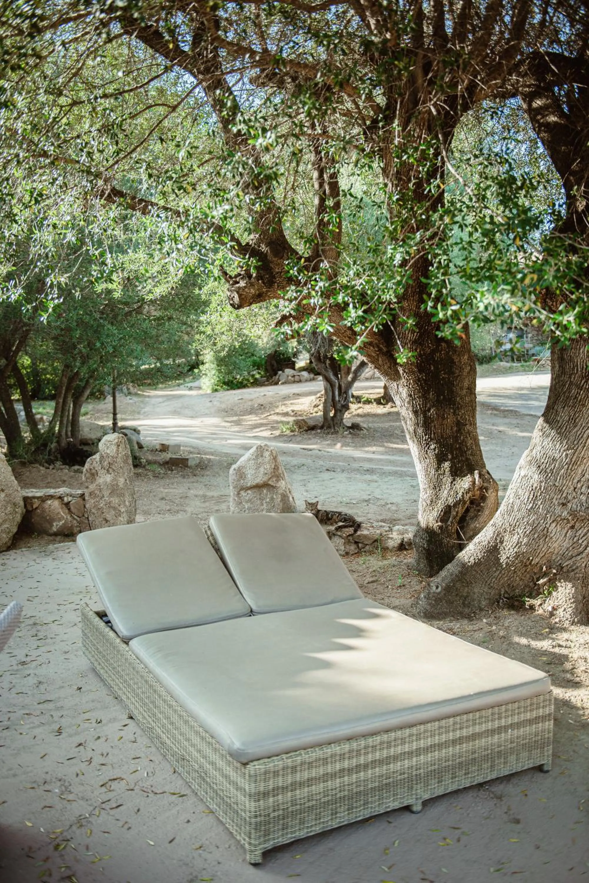 Garden view in Ranch Campo Palombaggia