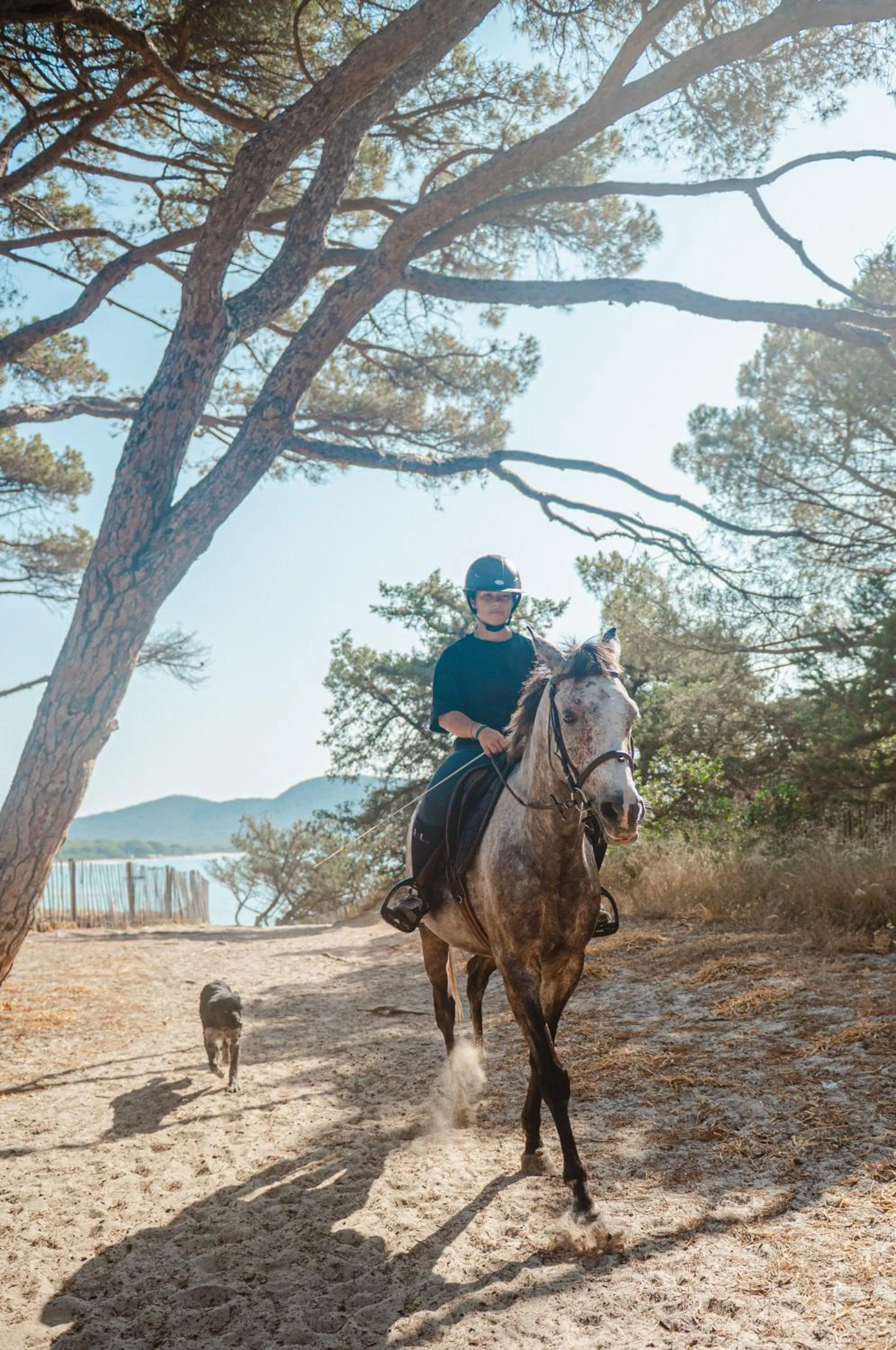 Ranch Campo Palombaggia