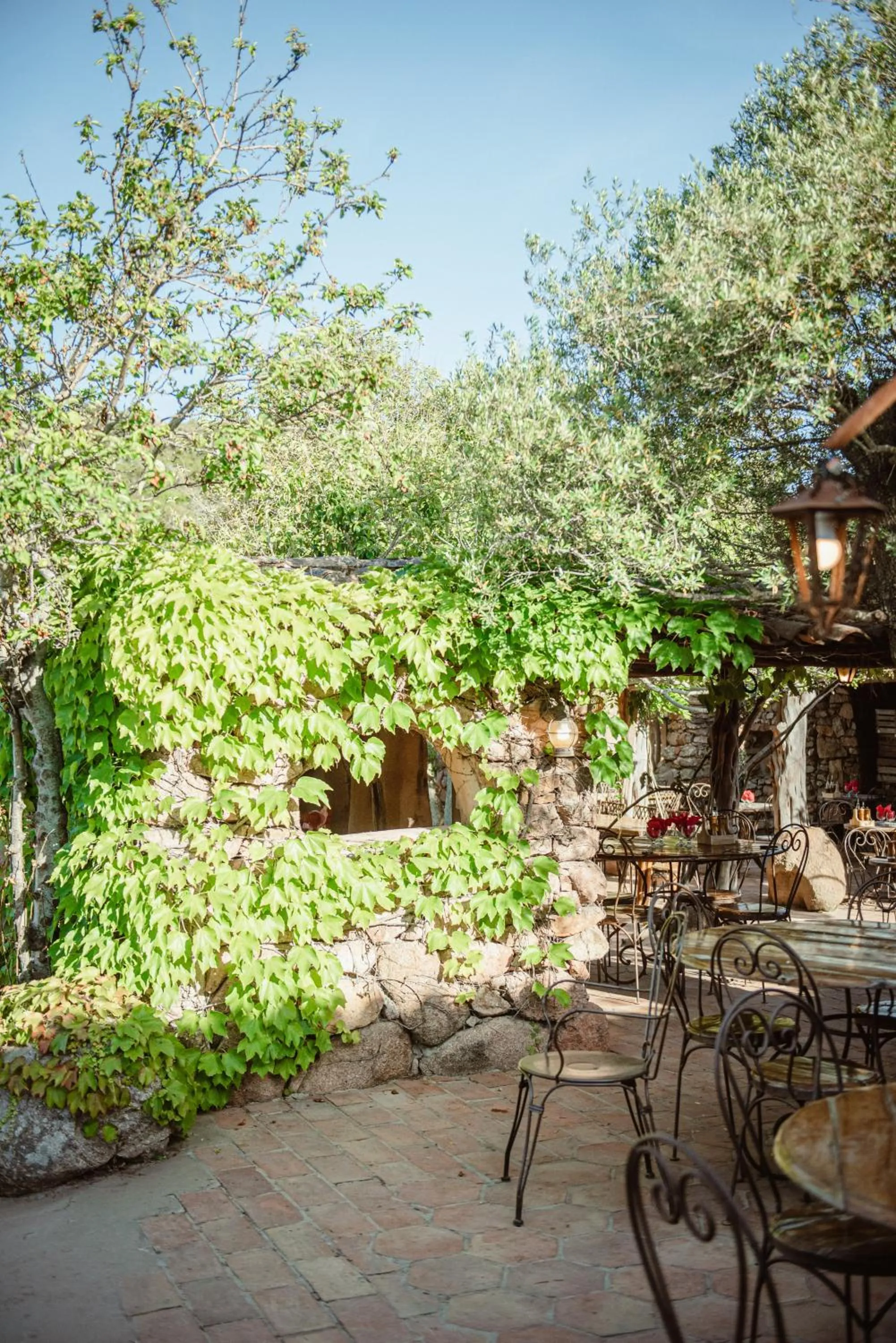 Restaurant/places to eat in Ranch Campo Palombaggia