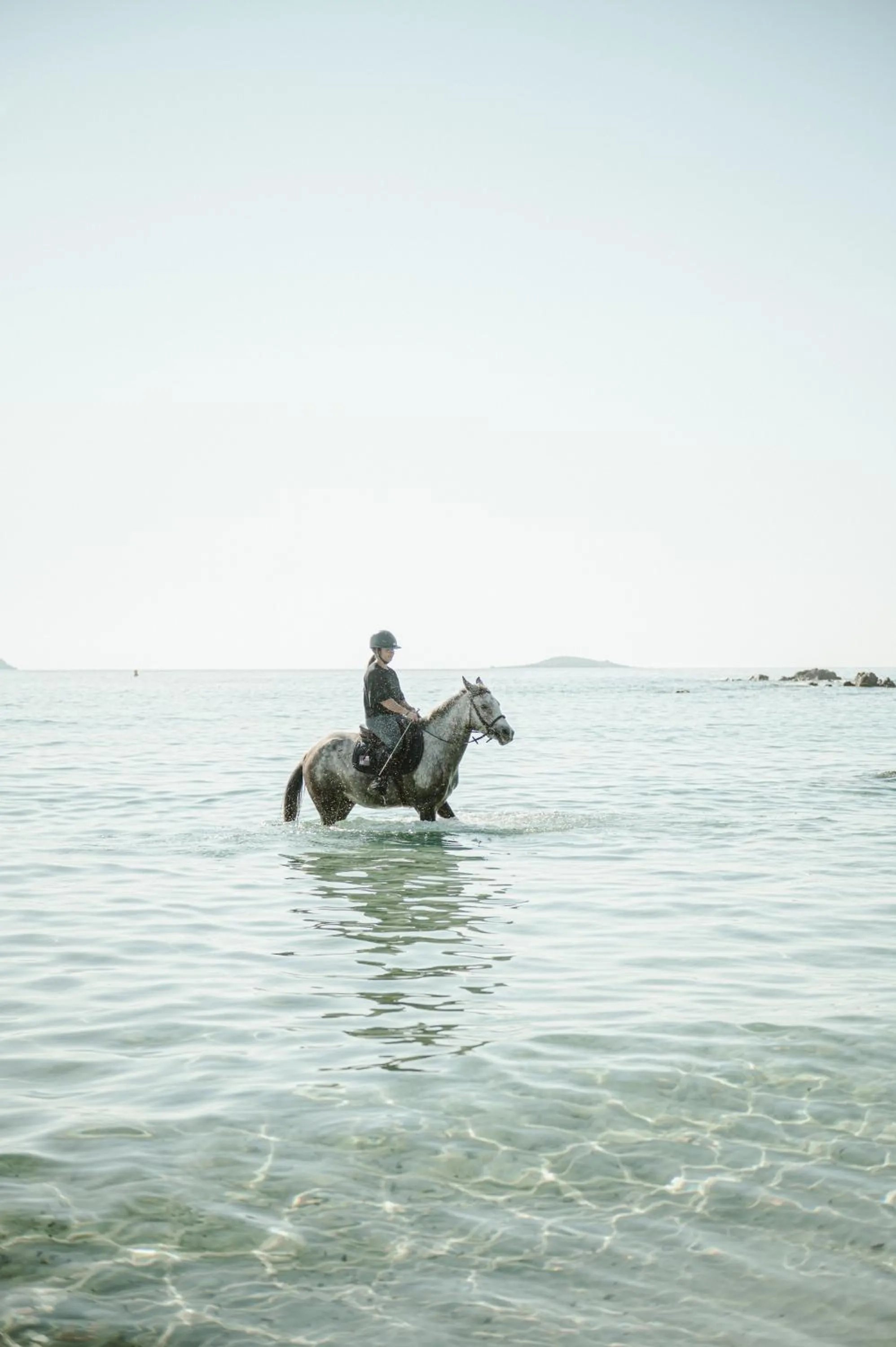 Ranch Campo Palombaggia