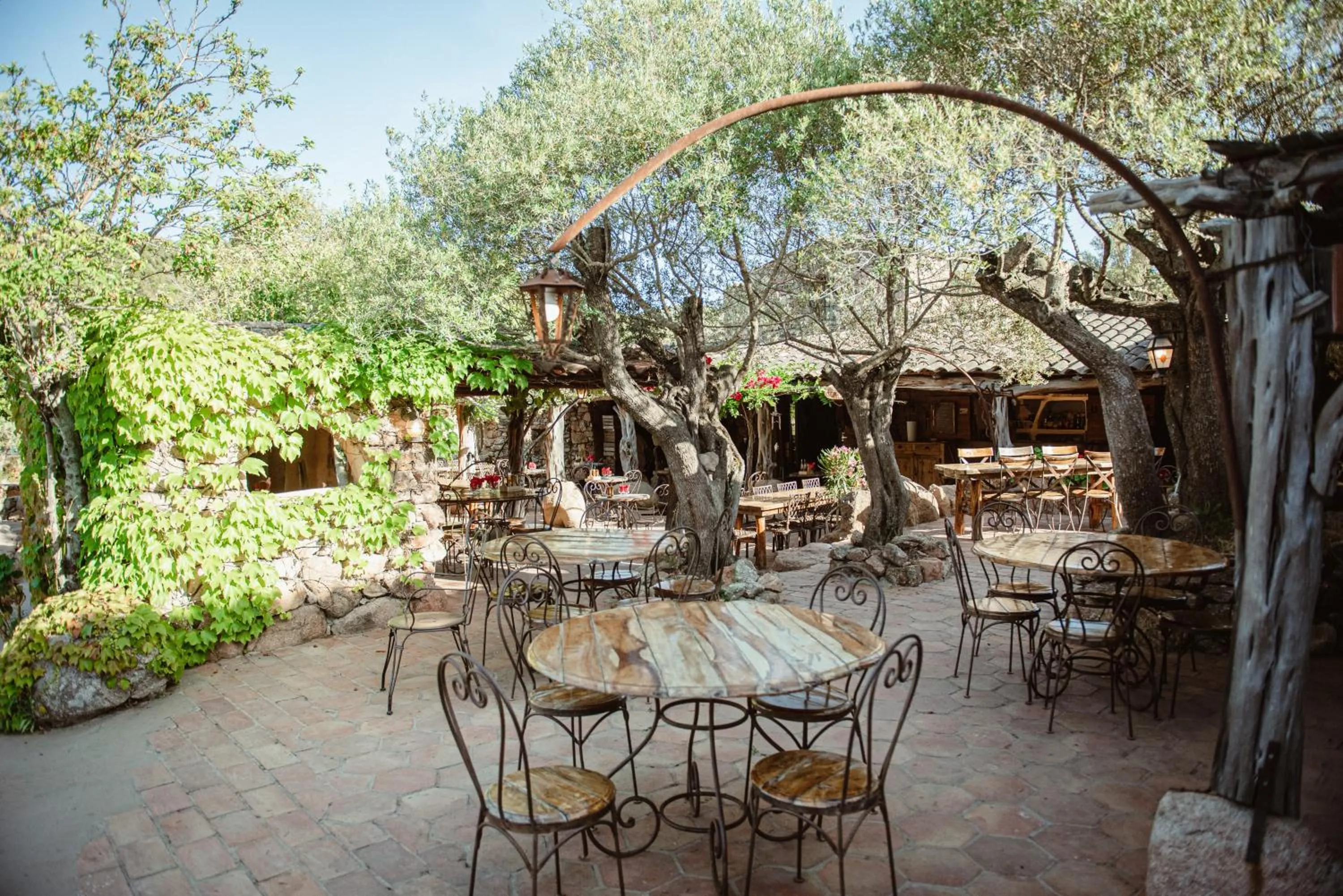 Restaurant/places to eat in Ranch Campo Palombaggia