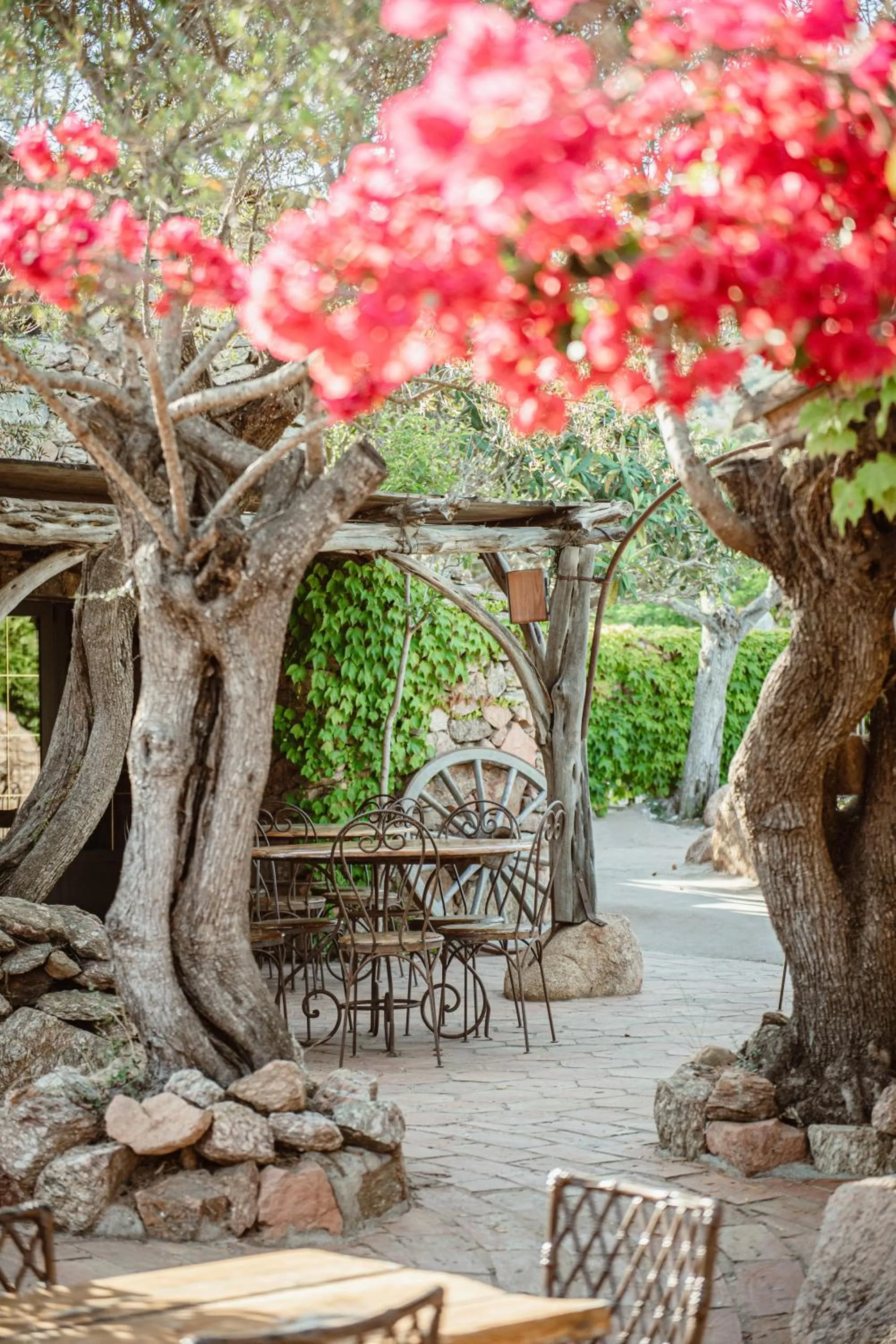 Restaurant/places to eat in Ranch Campo Palombaggia