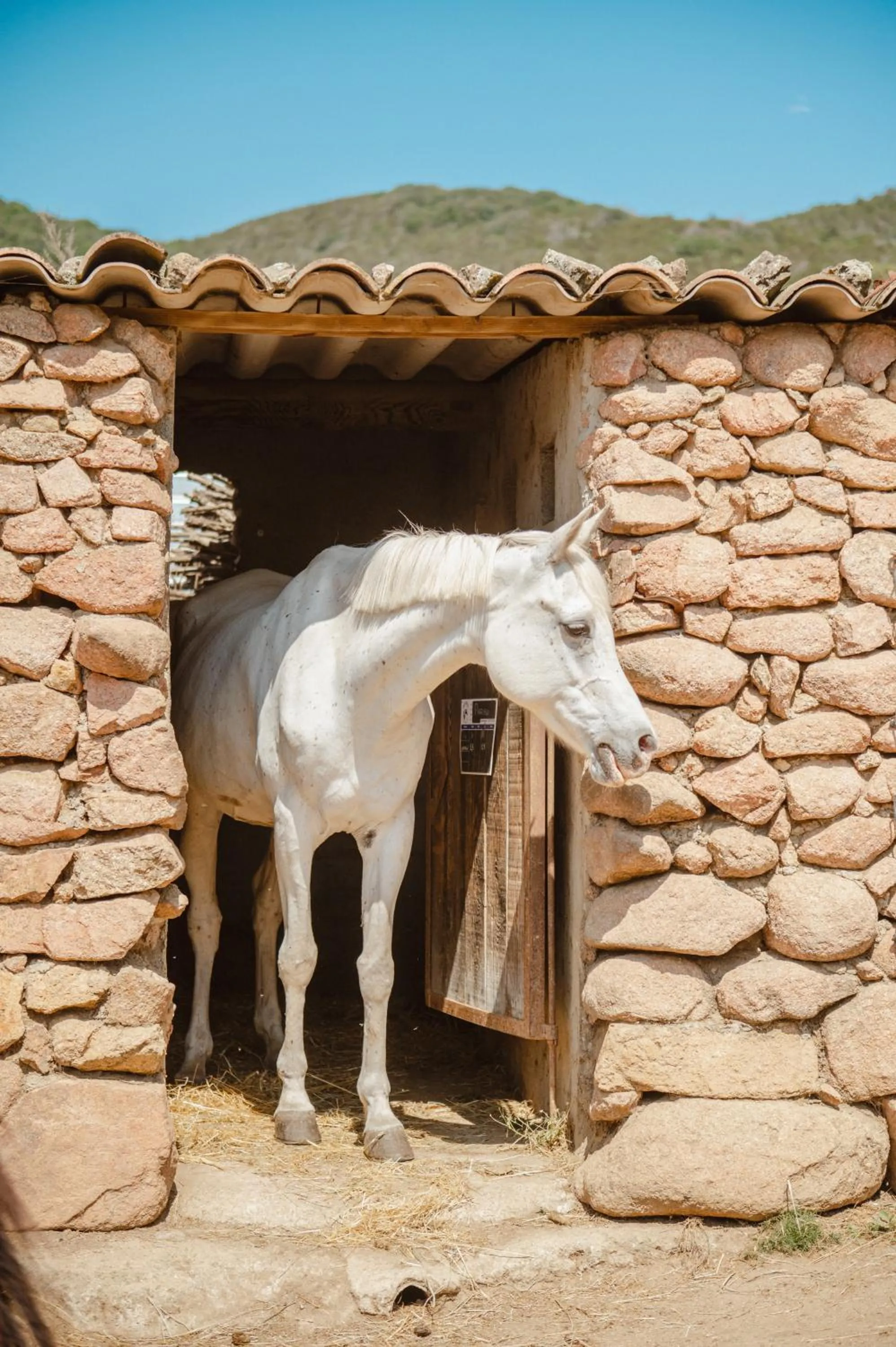 Ranch Campo Palombaggia