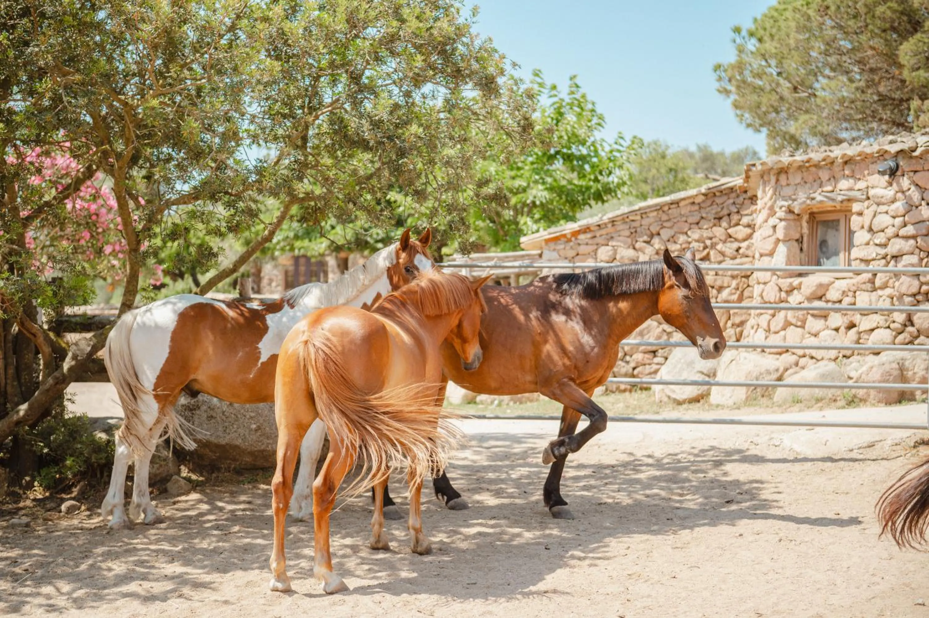 Ranch Campo Palombaggia