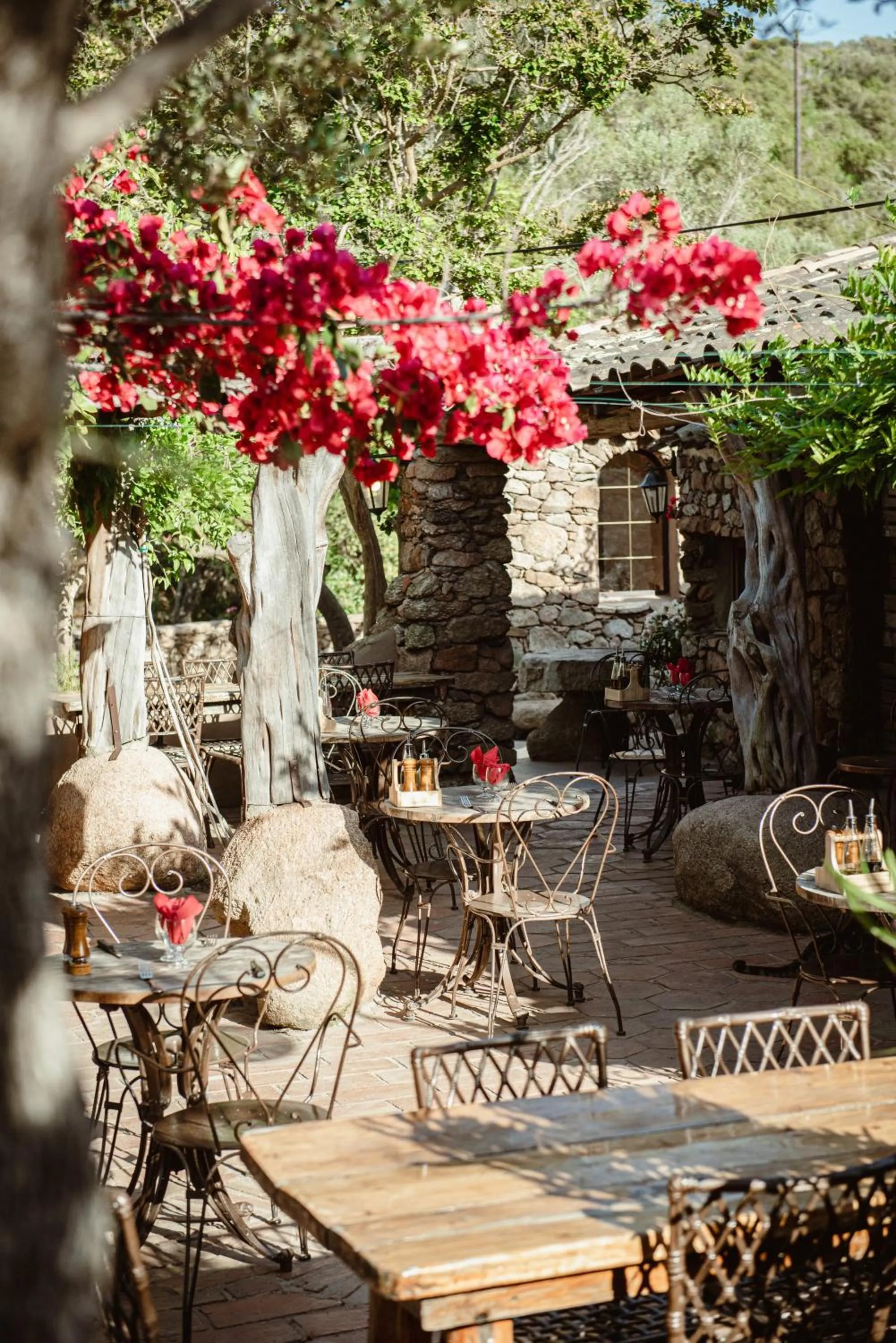 Restaurant/places to eat in Ranch Campo Palombaggia