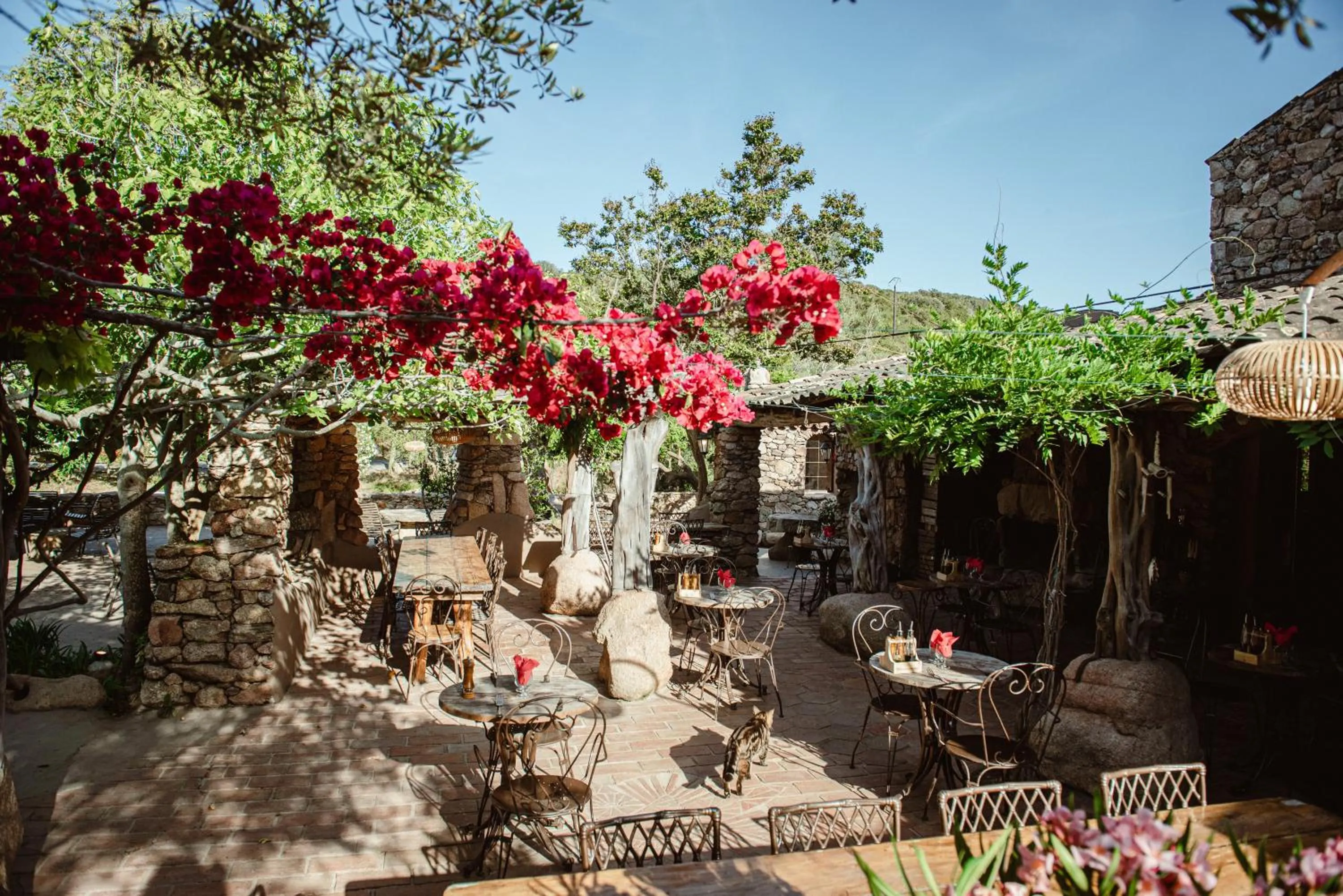 Spring in Ranch Campo Palombaggia