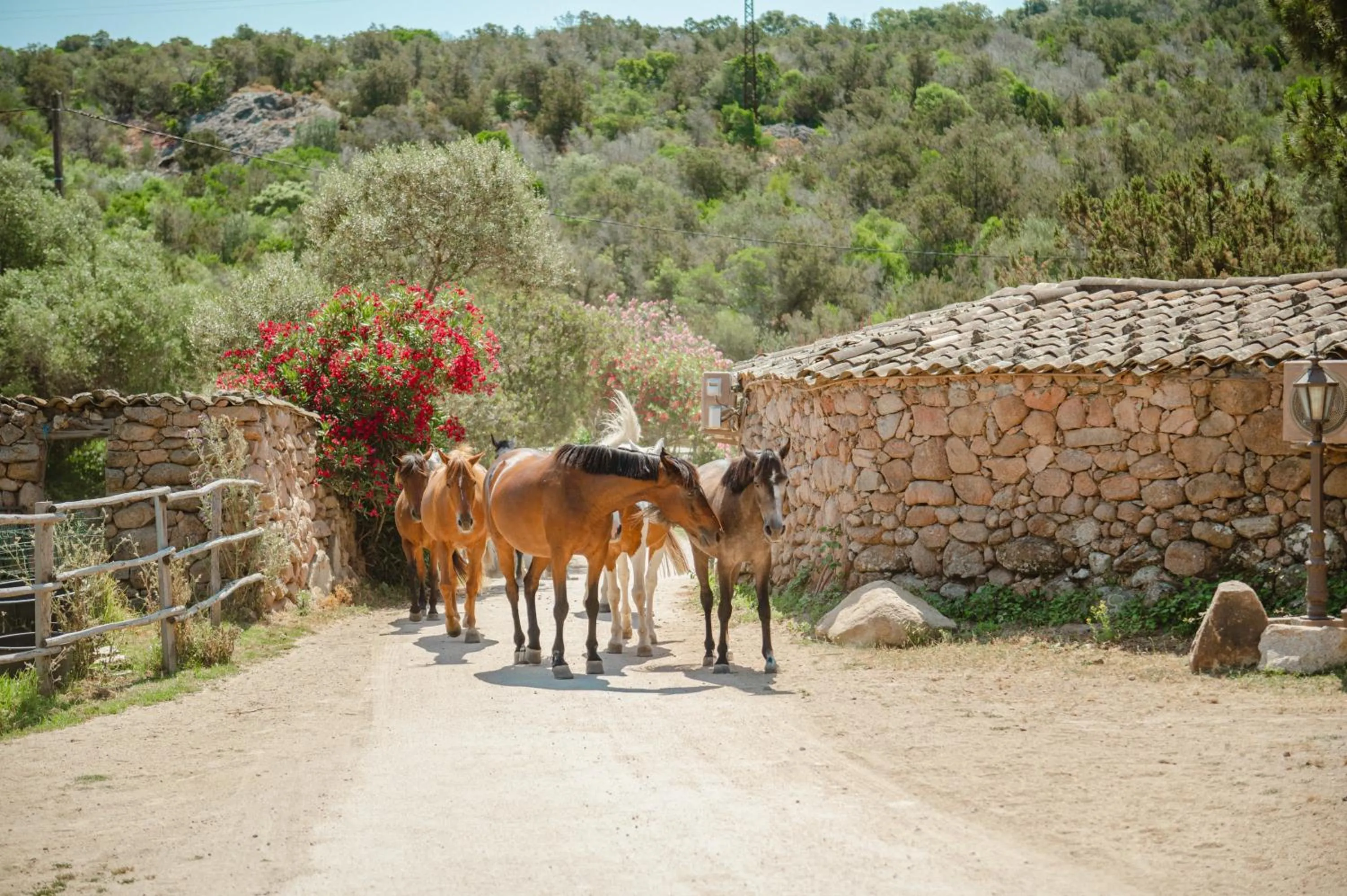 Ranch Campo Palombaggia