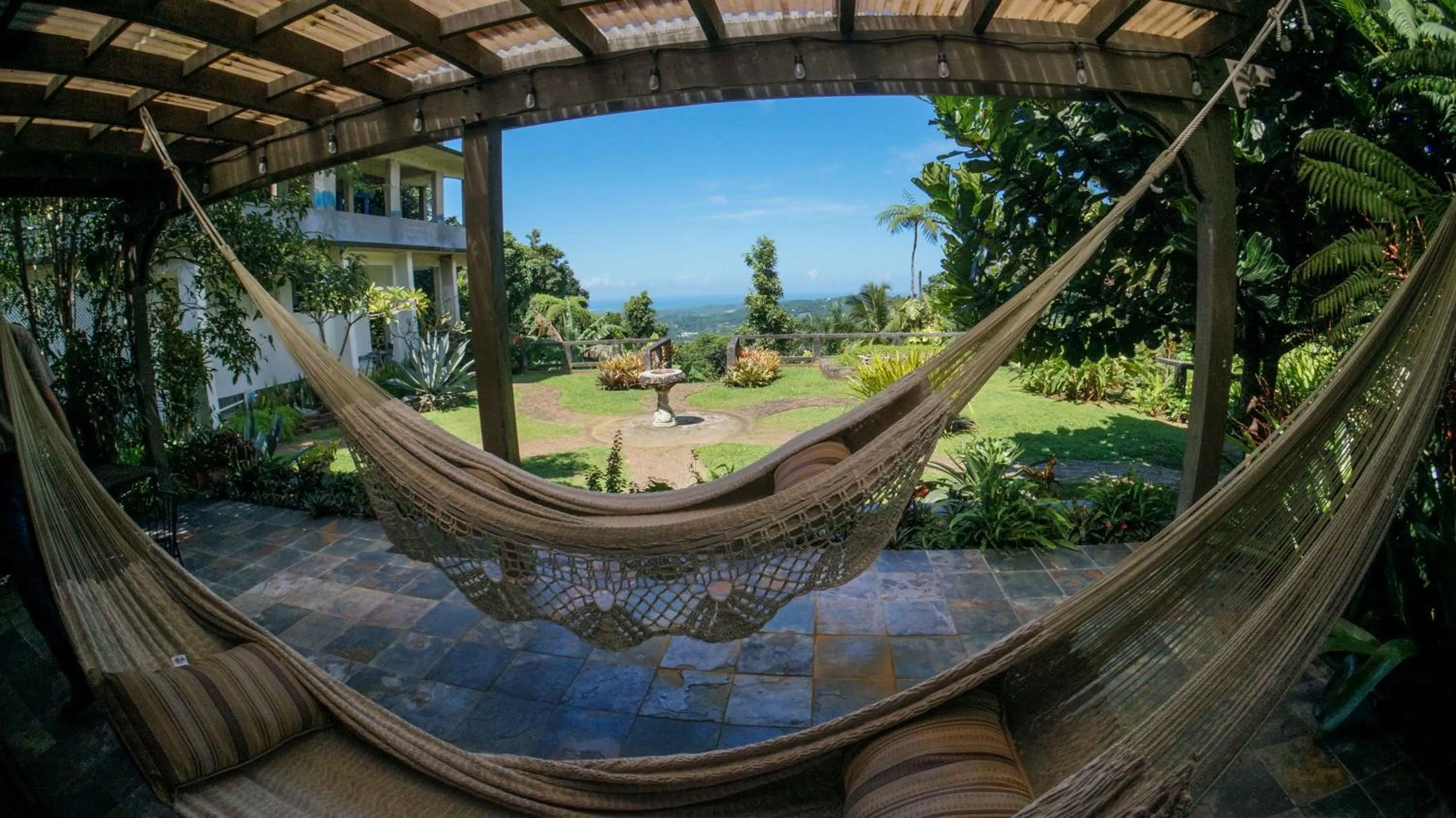 Garden view in El Yunque Rainforest Inn