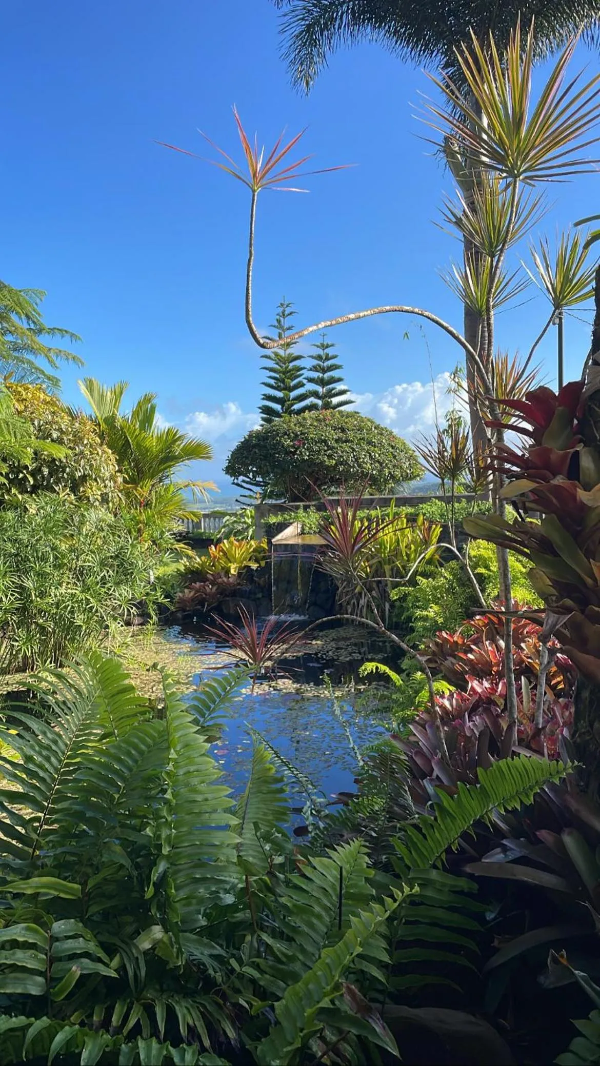 Pool view in El Yunque Rainforest Inn
