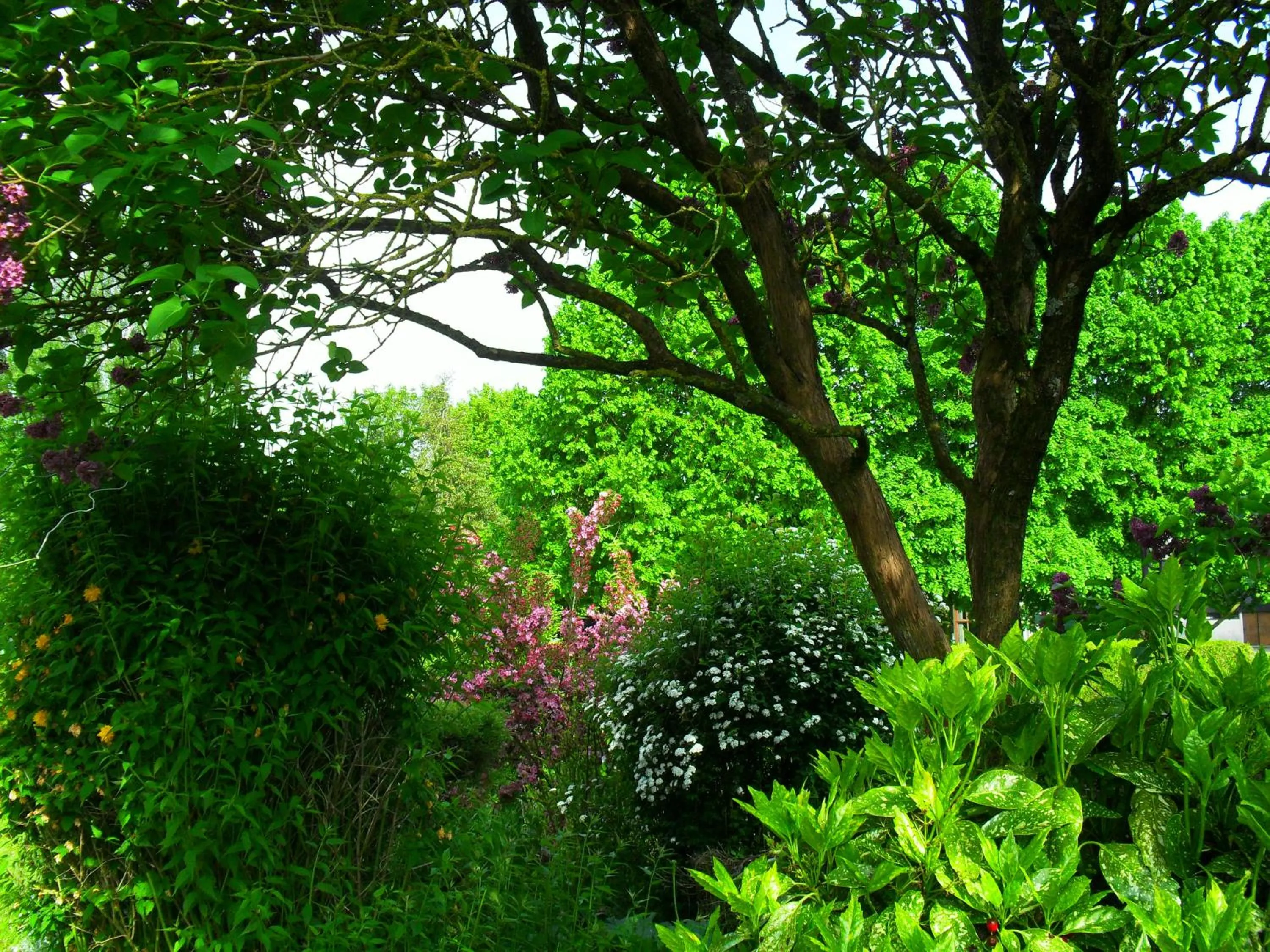 Garden in 3 chambres à la campagne au nord d' Amiens