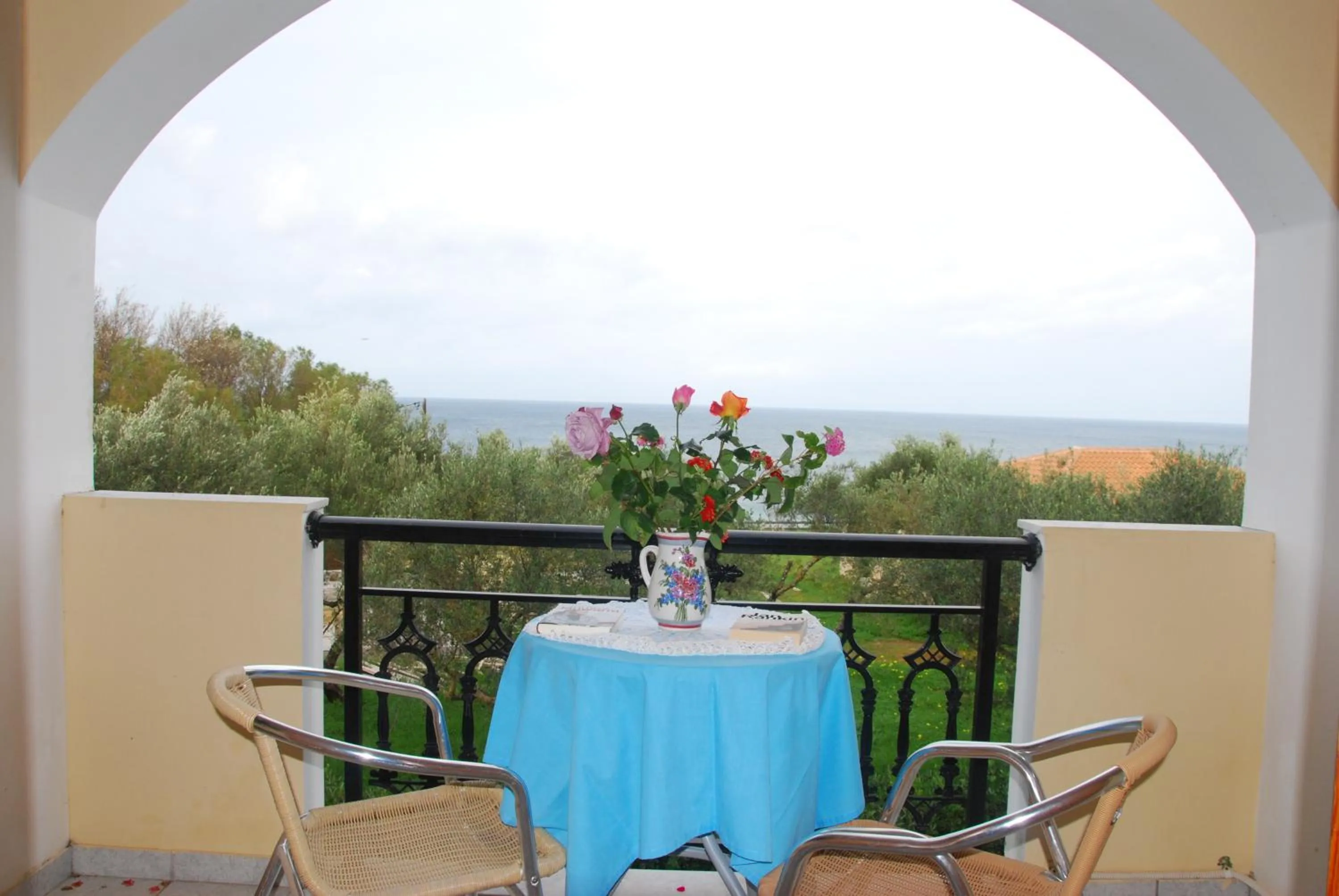 Sea view in Kavos Psarou Studios & Apartments