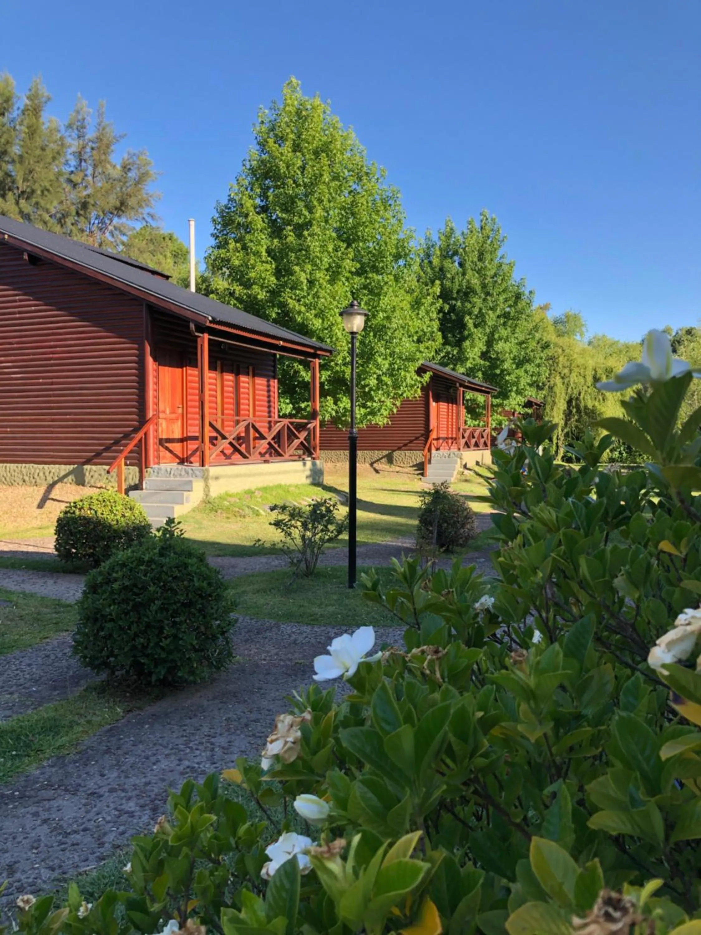 Photo of the whole room in Aires Del Delta