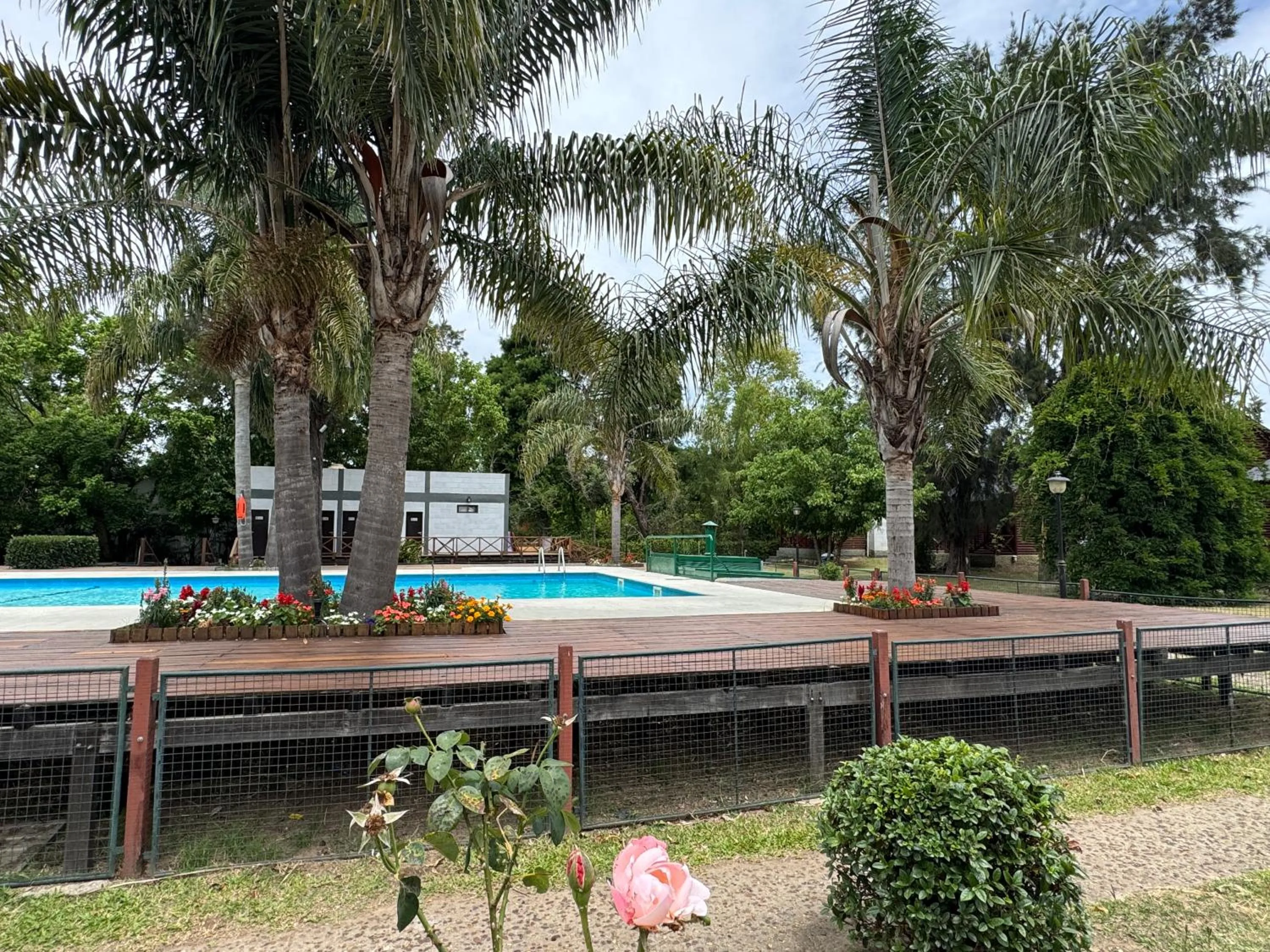 Swimming pool in Aires Del Delta