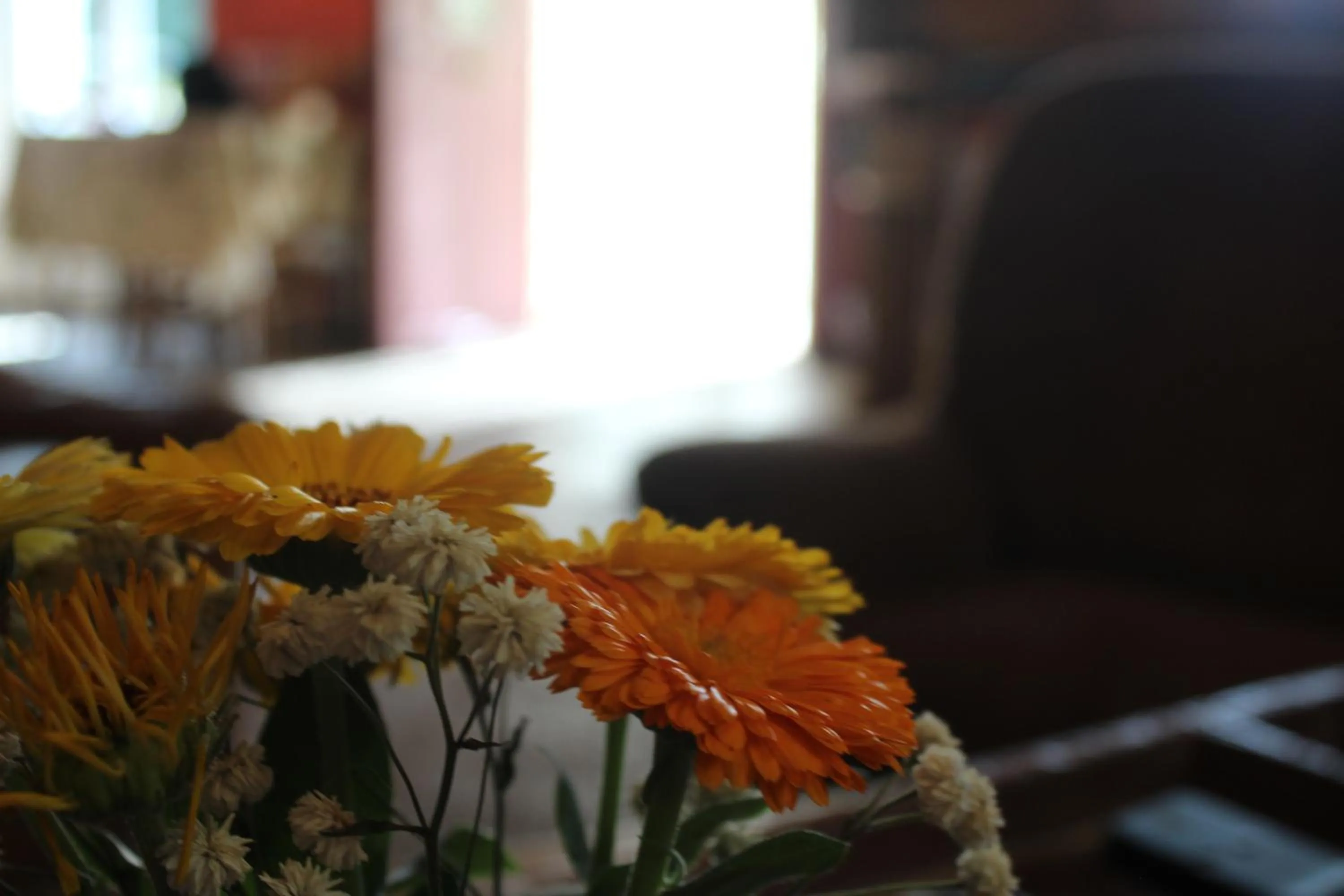 Living room in Les Cremades