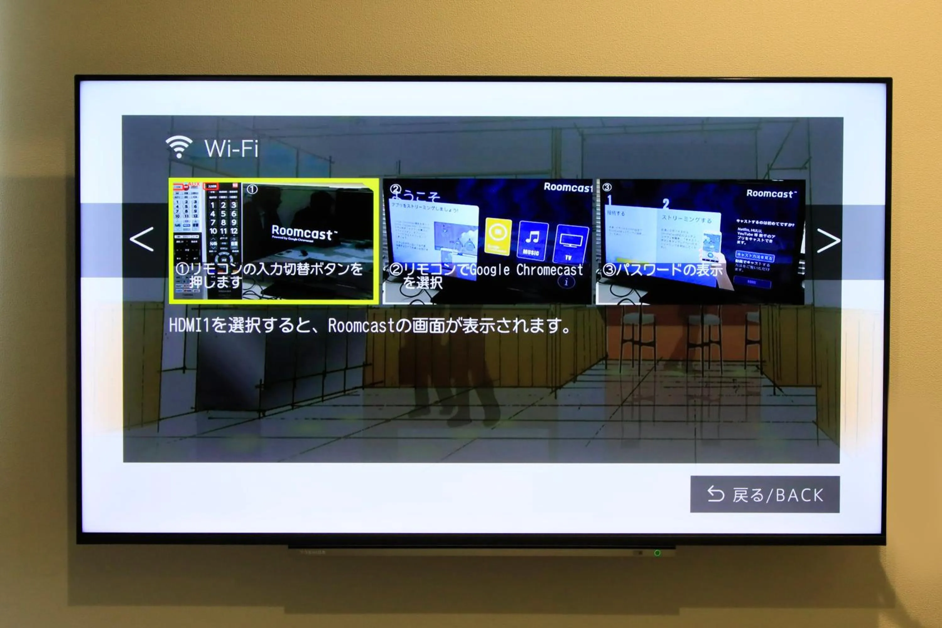 TV and multimedia in Hotel NewNagano NeXT