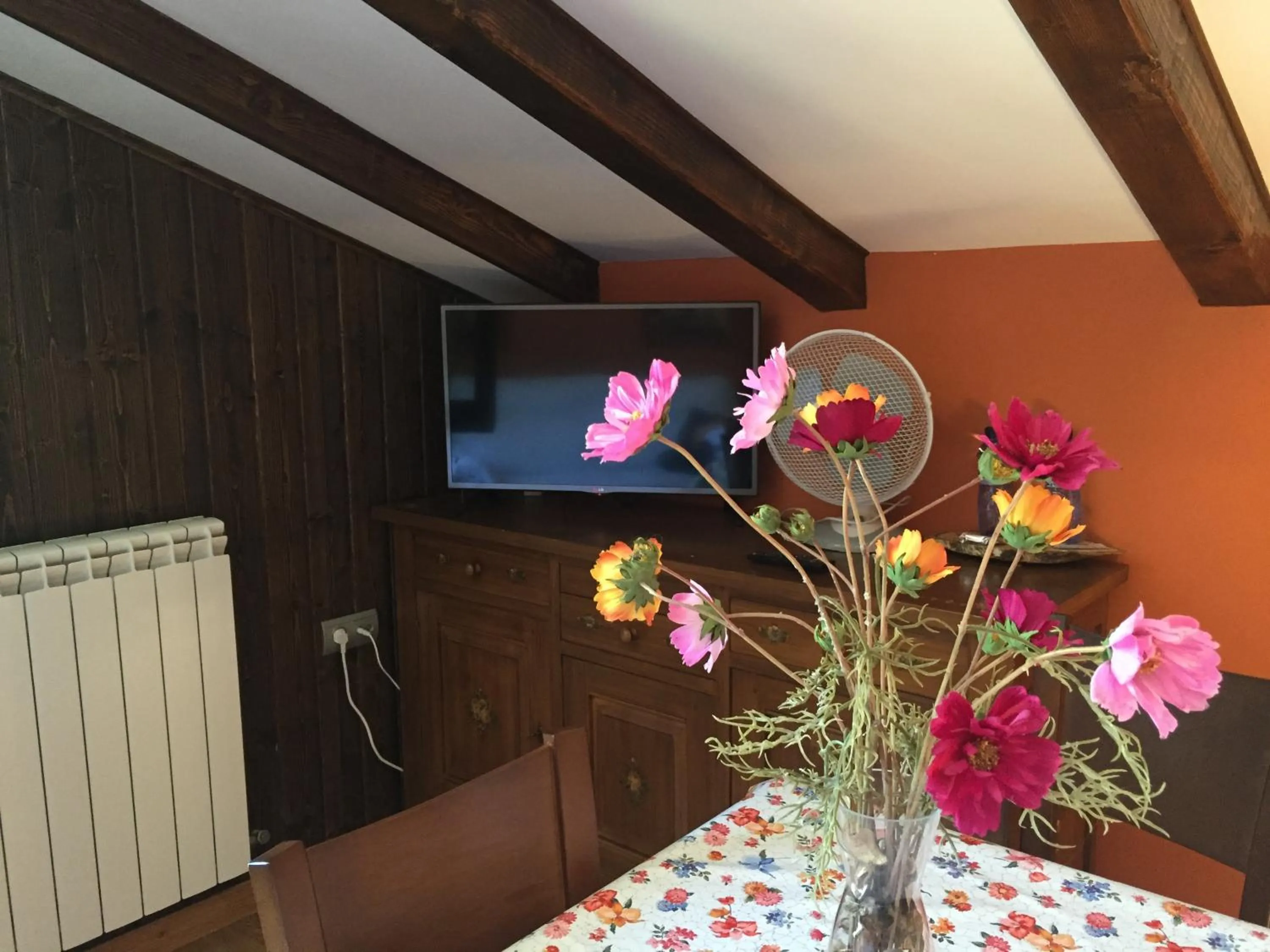 Other in Hotel Apartamentos Barrau