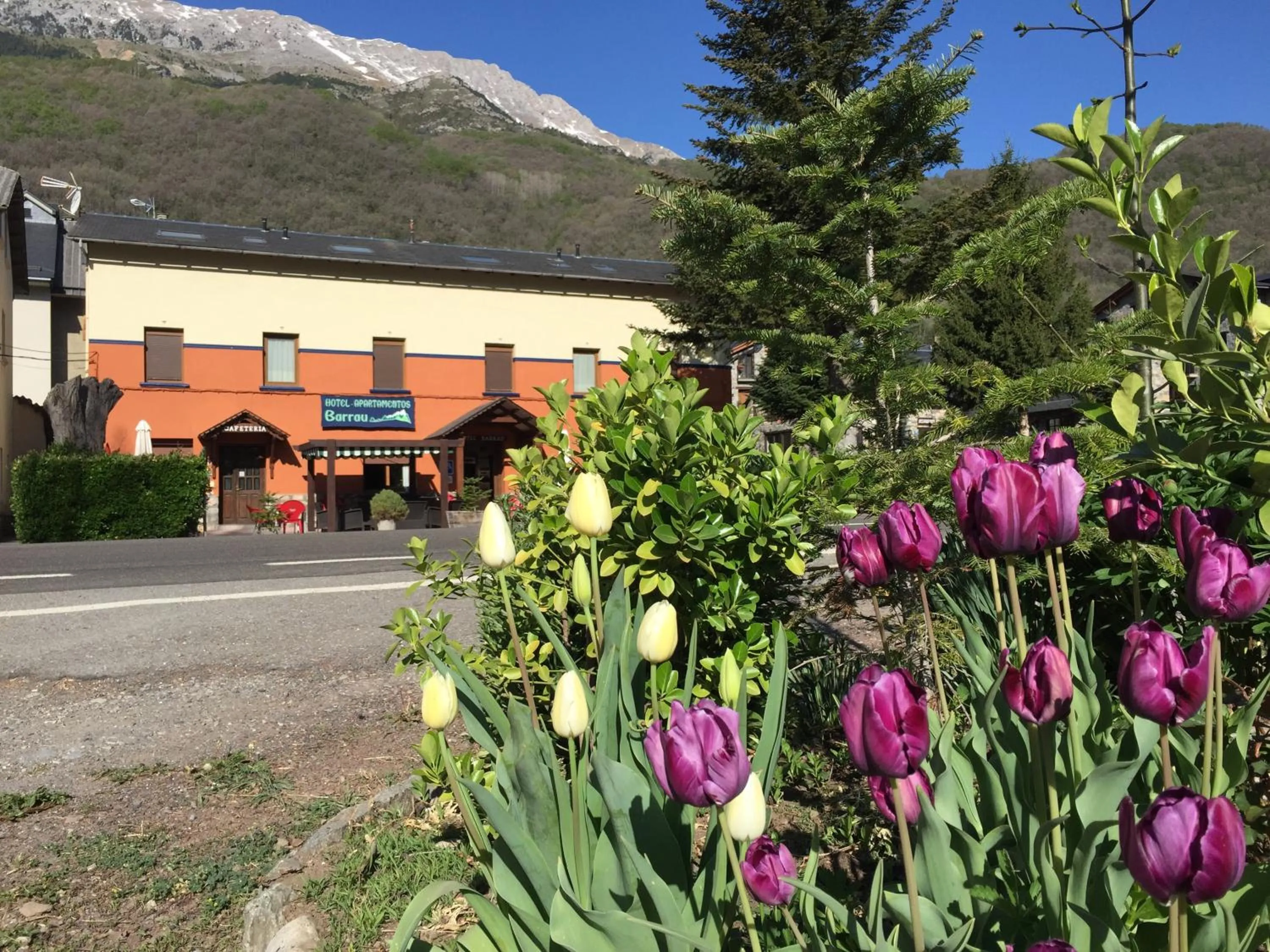 Area and facilities in Hotel Apartamentos Barrau