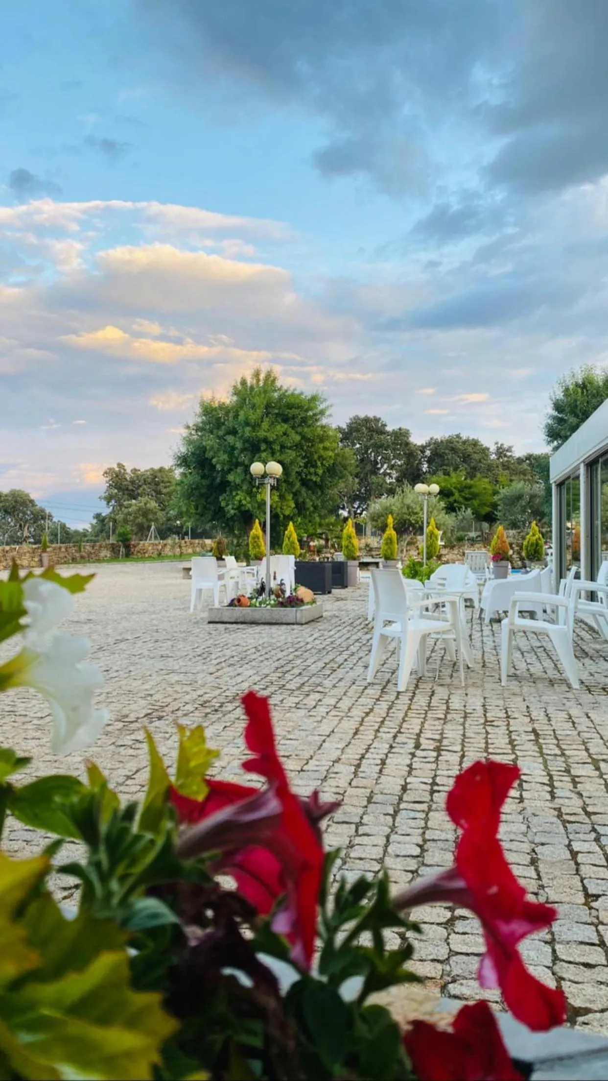 Garden in Casas Campo Cimo da Quinta