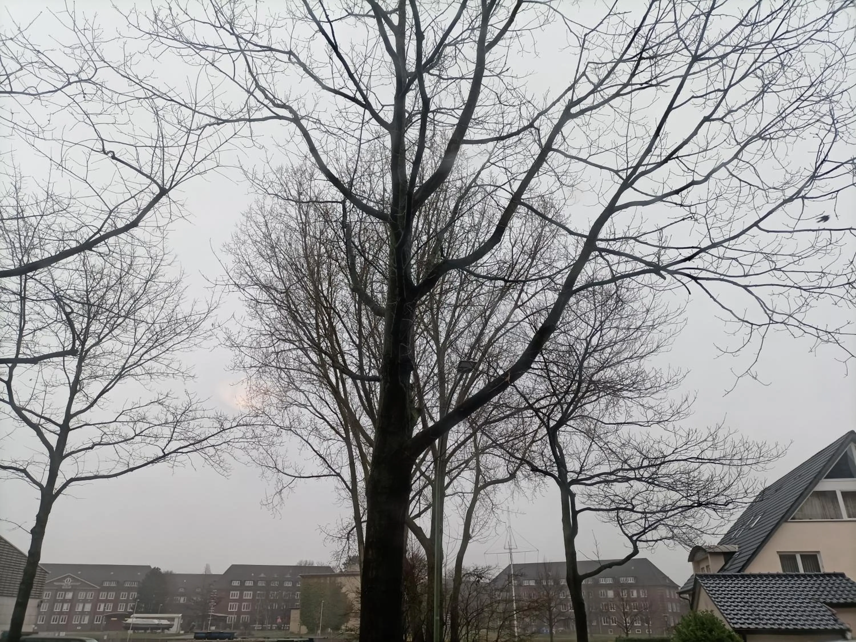 View (from property/room) in Hotel An der Karlstadt