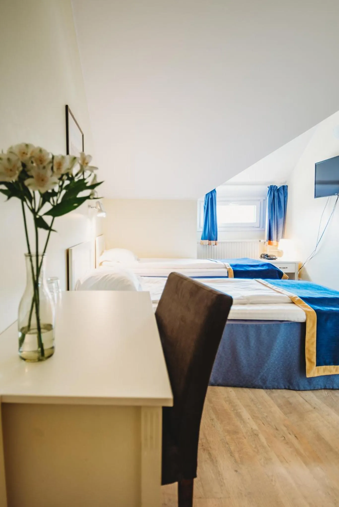 TV and multimedia, Bed in Economy Hotel