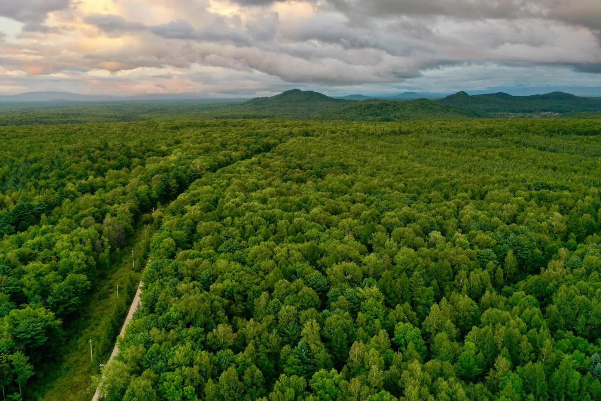 Natural landscape in Pullman Changbaishan Resort