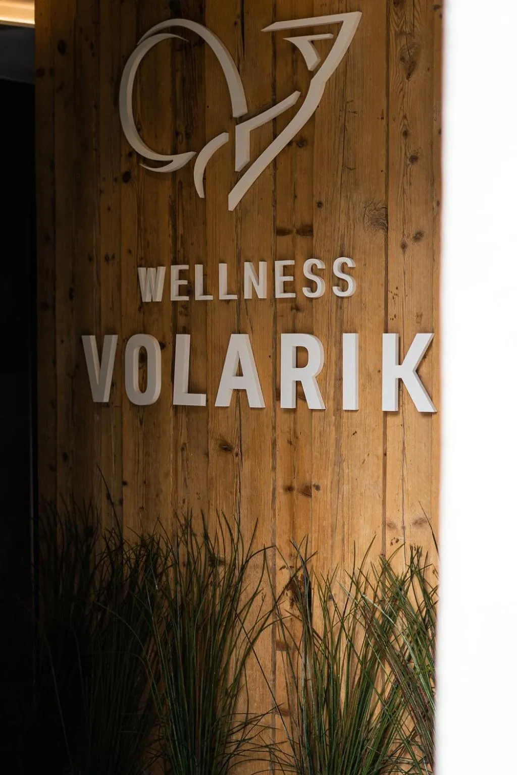 Spa and wellness centre/facilities in Wellness Hotel Volarik
