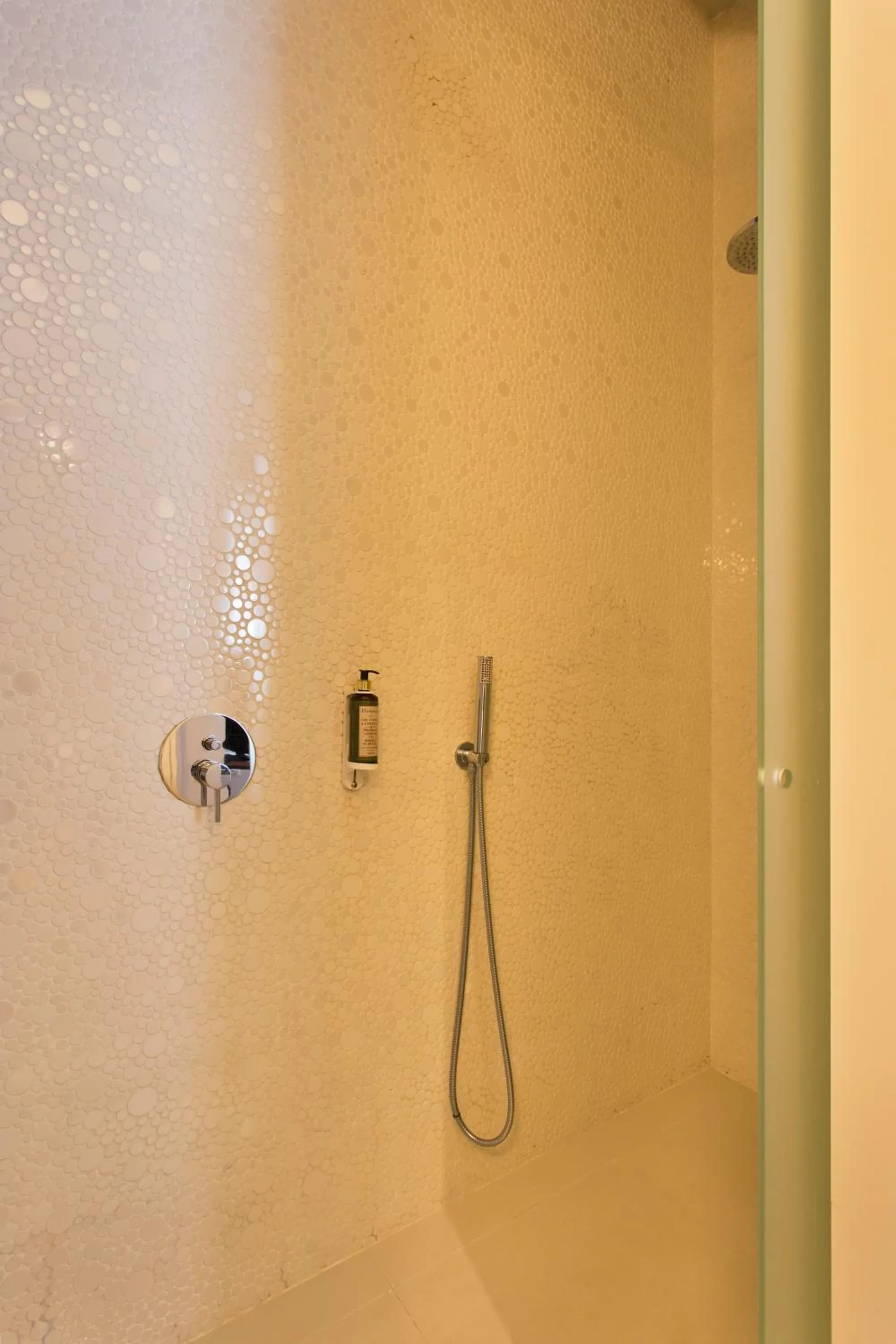 Shower in RVA - Gustave Eiffel Apartments