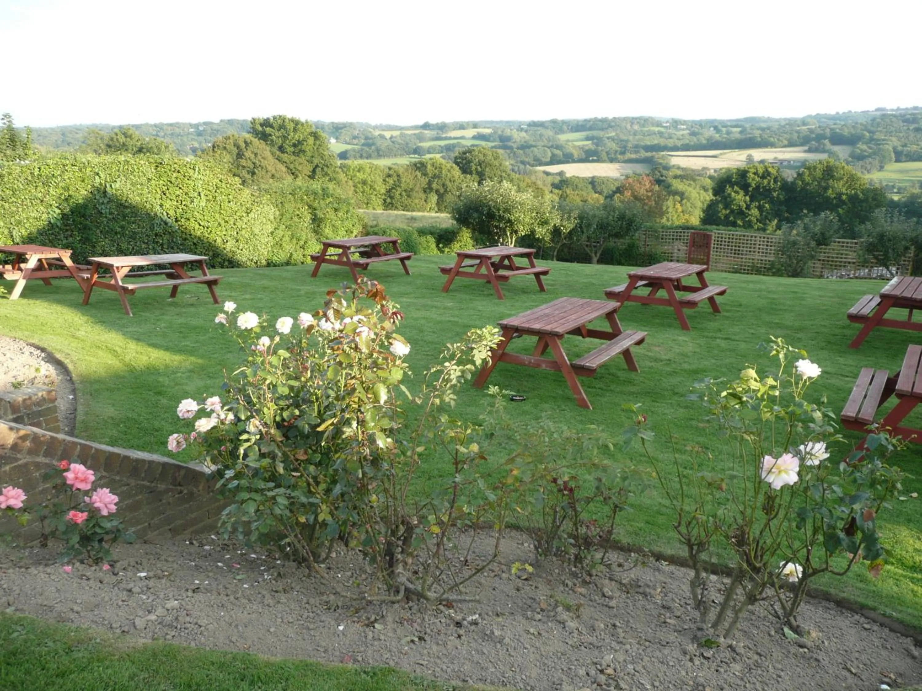 Garden in The Bear Inn and Burwash Motel