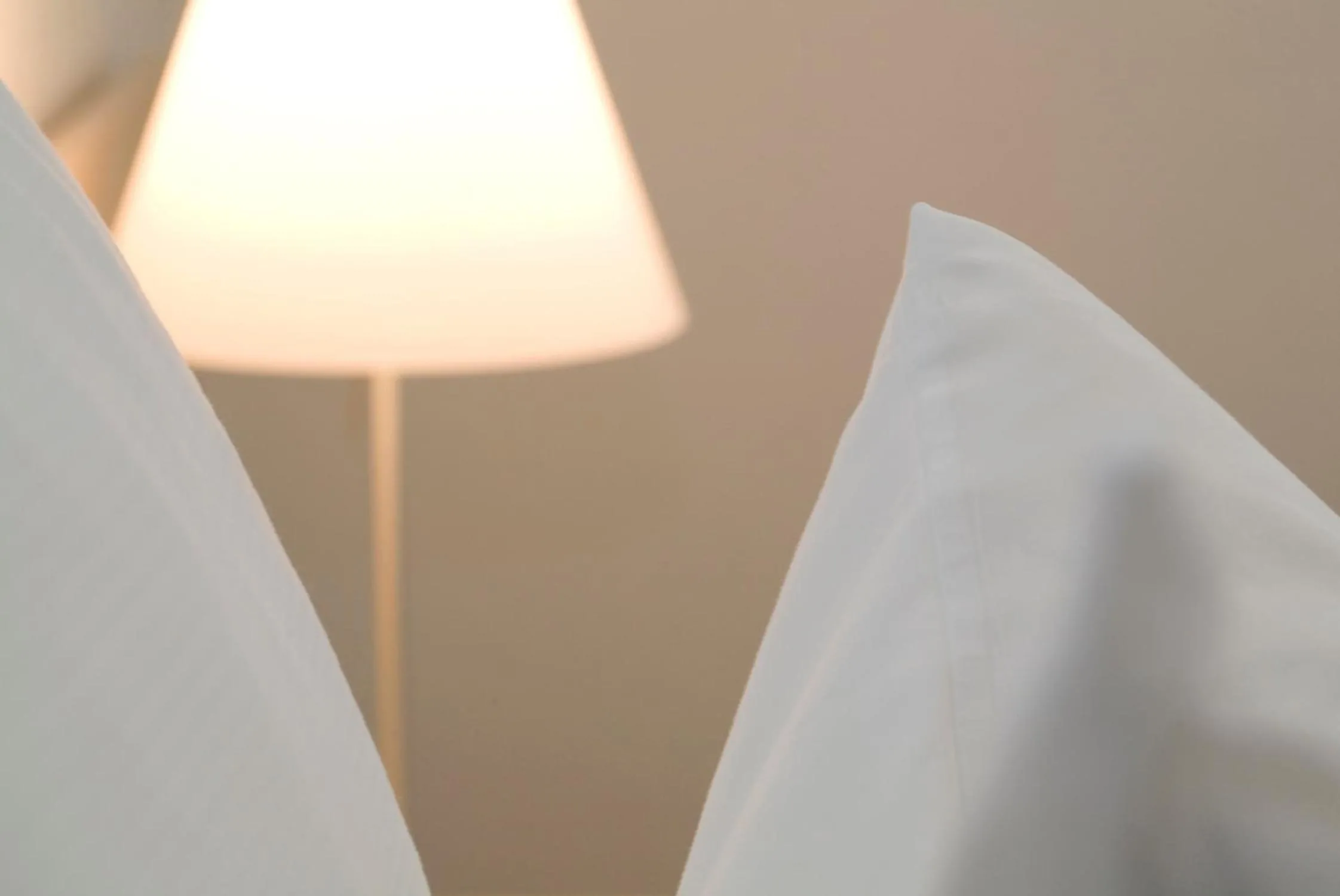 Superior Double Room in Hotel Ochsen - Self Check-in