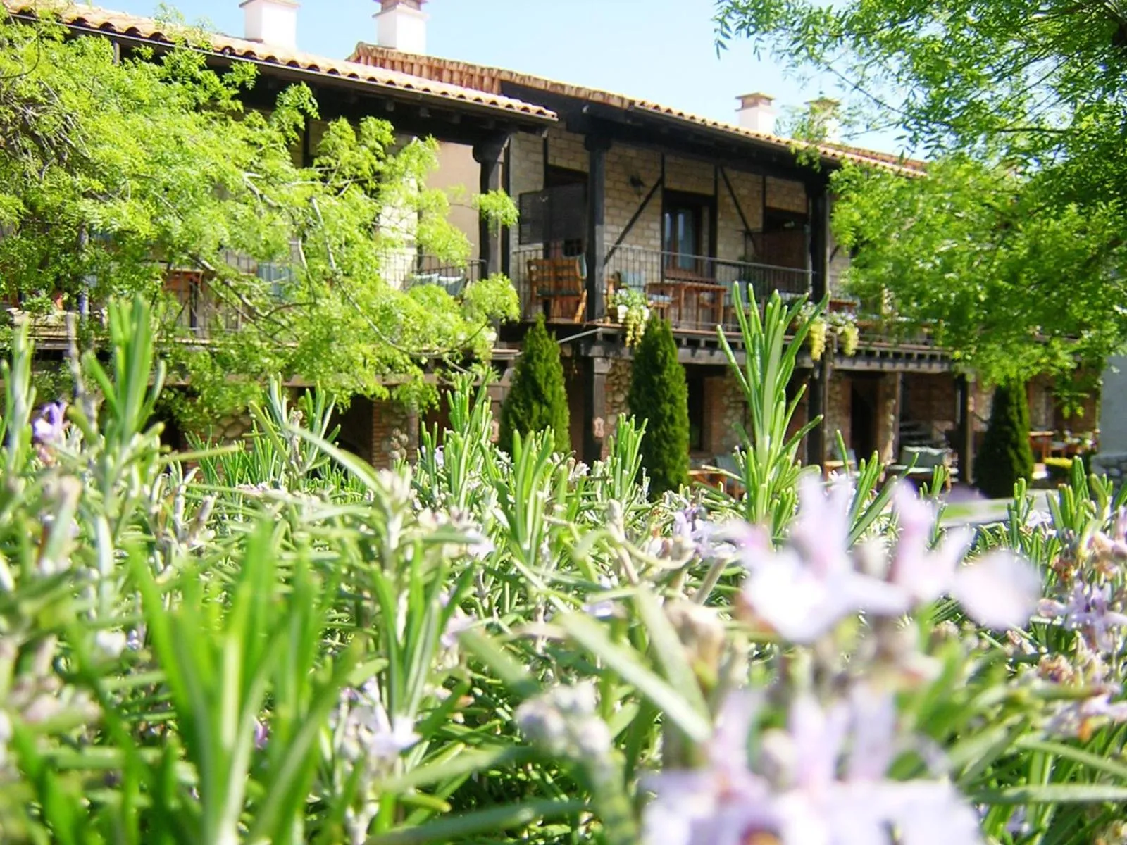 Area and facilities in El Canchal de la Gallina -Cafetería -Aparcamiento gratis - Jacuzzi - Piscina de agua caliente abierta desde el 28 de Marzo