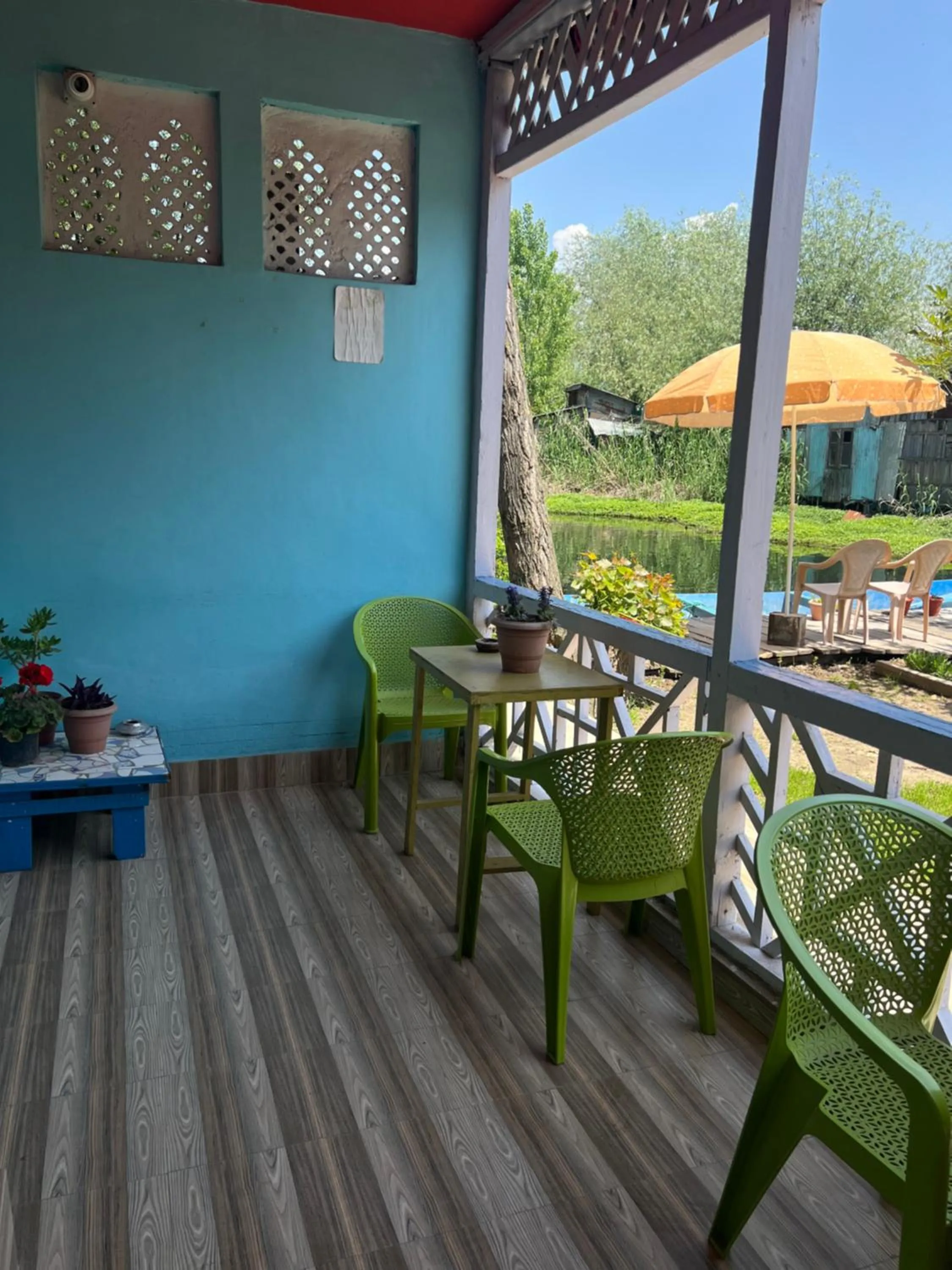 View (from property/room) in Hotel Chachoo Palace