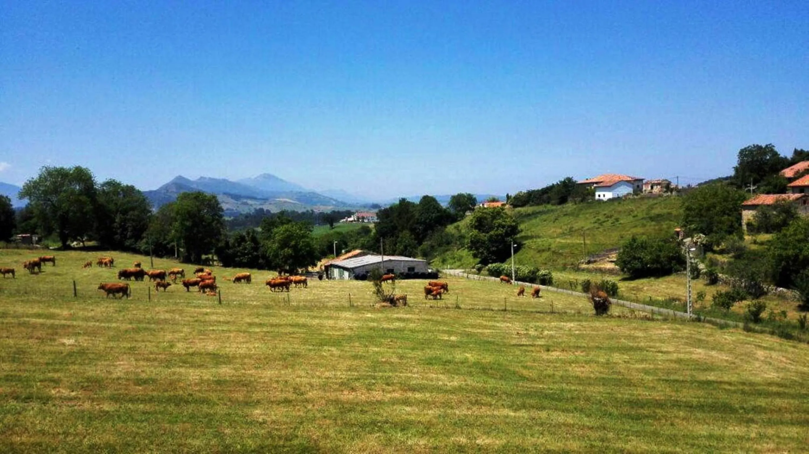 Mountain view in Hotel Rincón de Antón