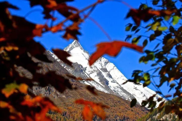 Natural landscape in Pension Lagler