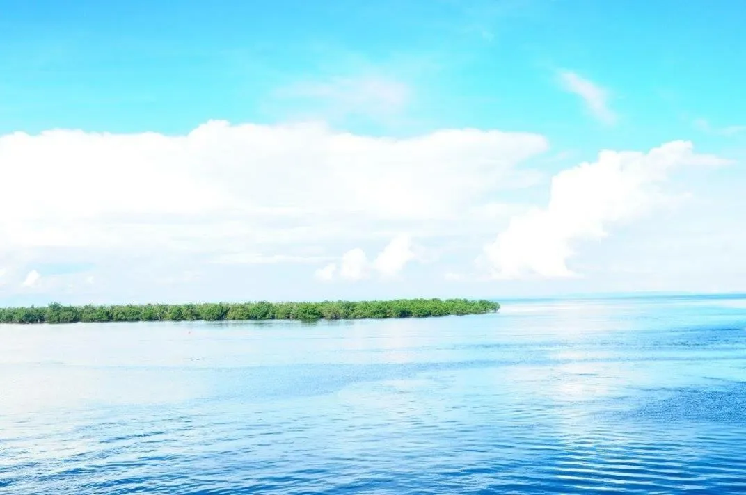 Other in Palompon lodge