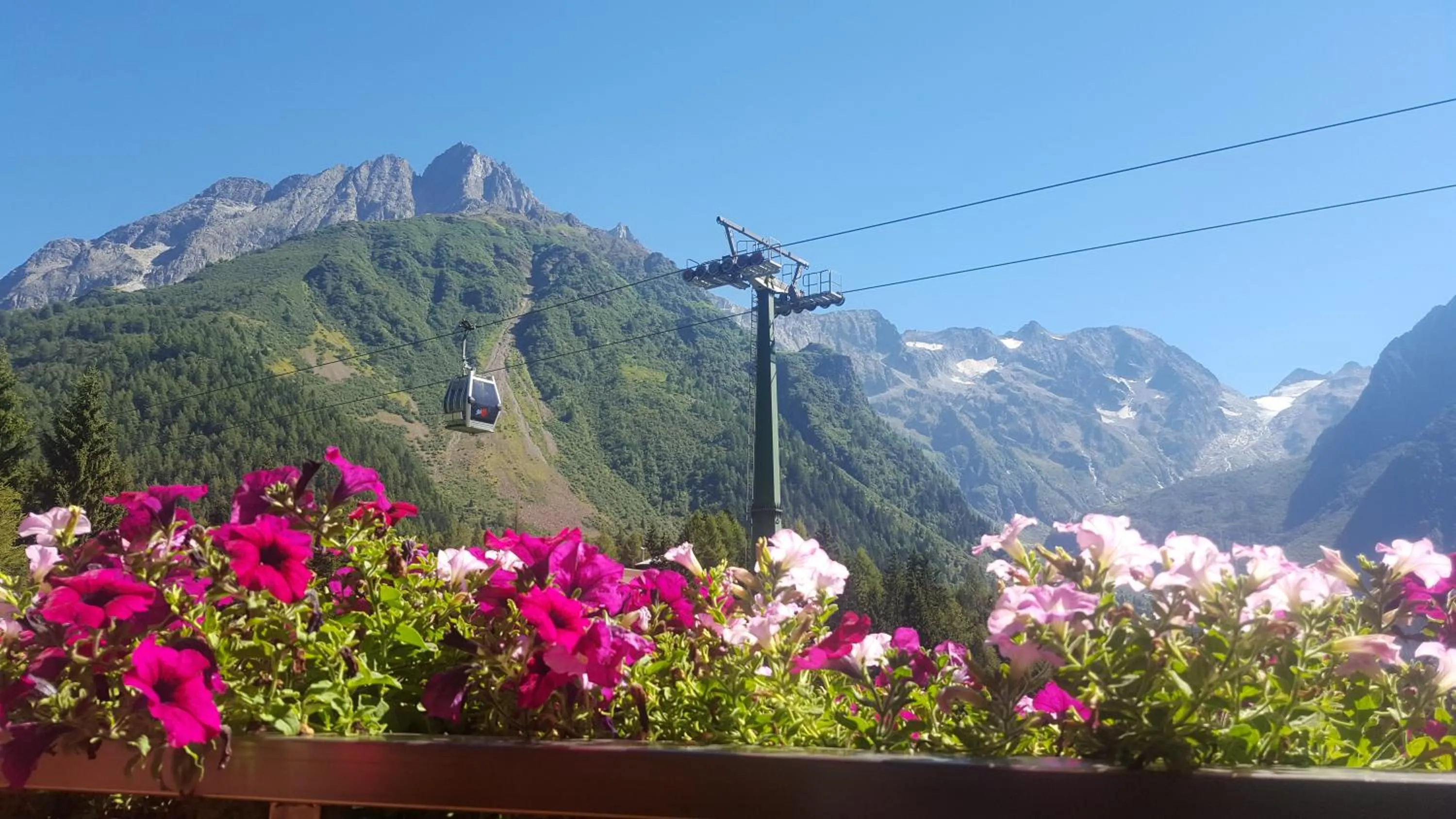 Garden in Hotel La Roccia