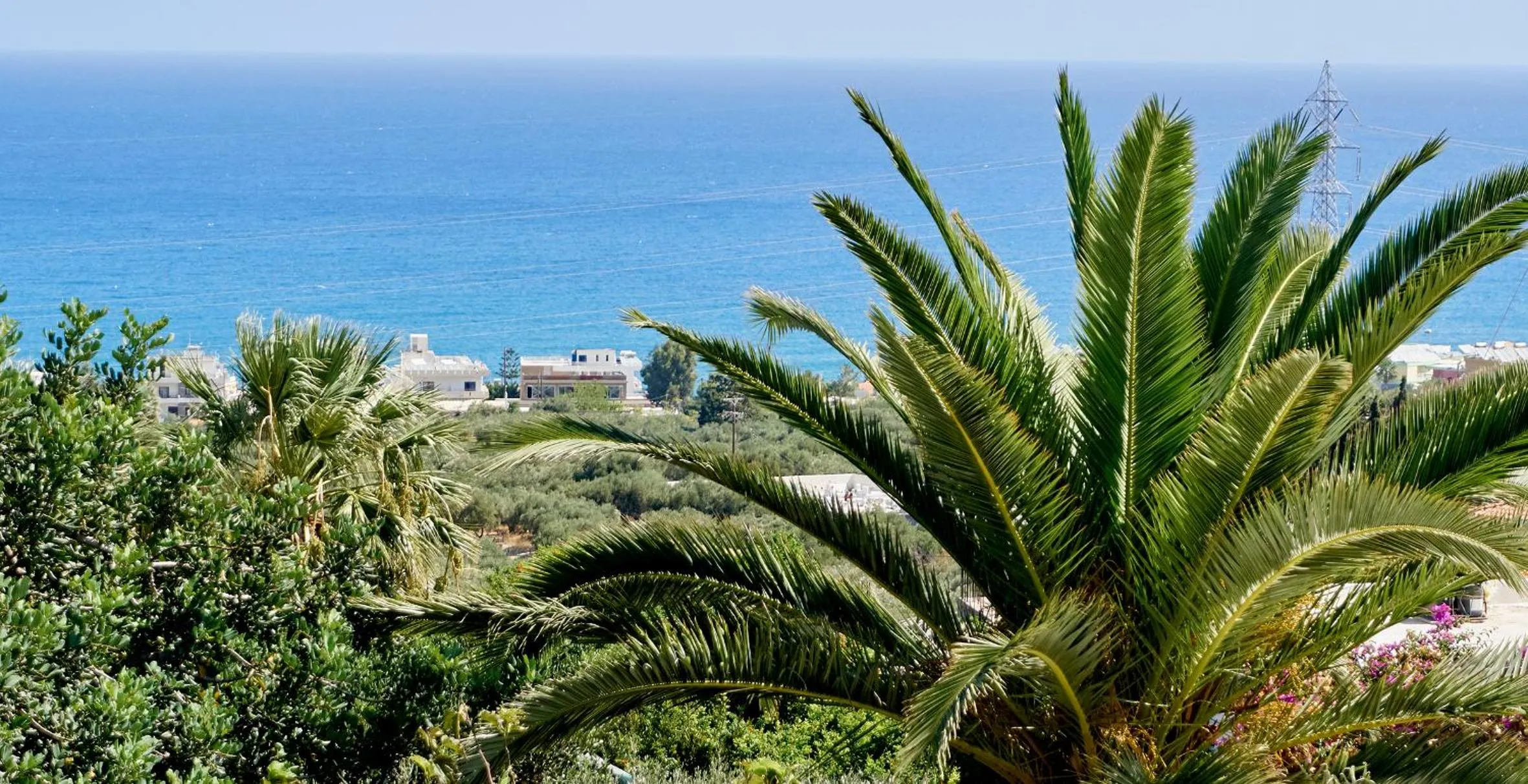 Garden view in Villa Ippocampi - Adults Only