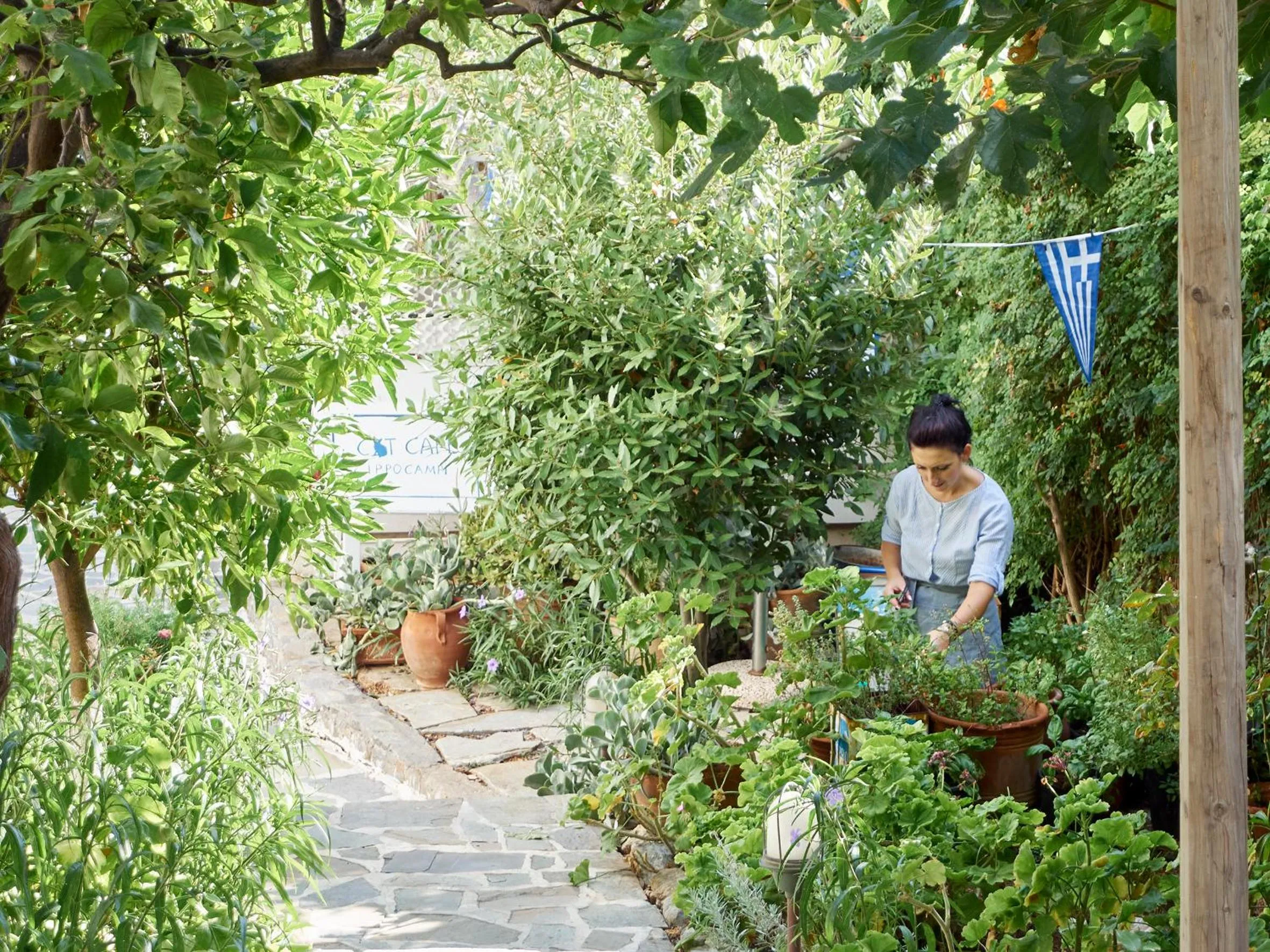 Garden in Villa Ippocampi - Adults Only